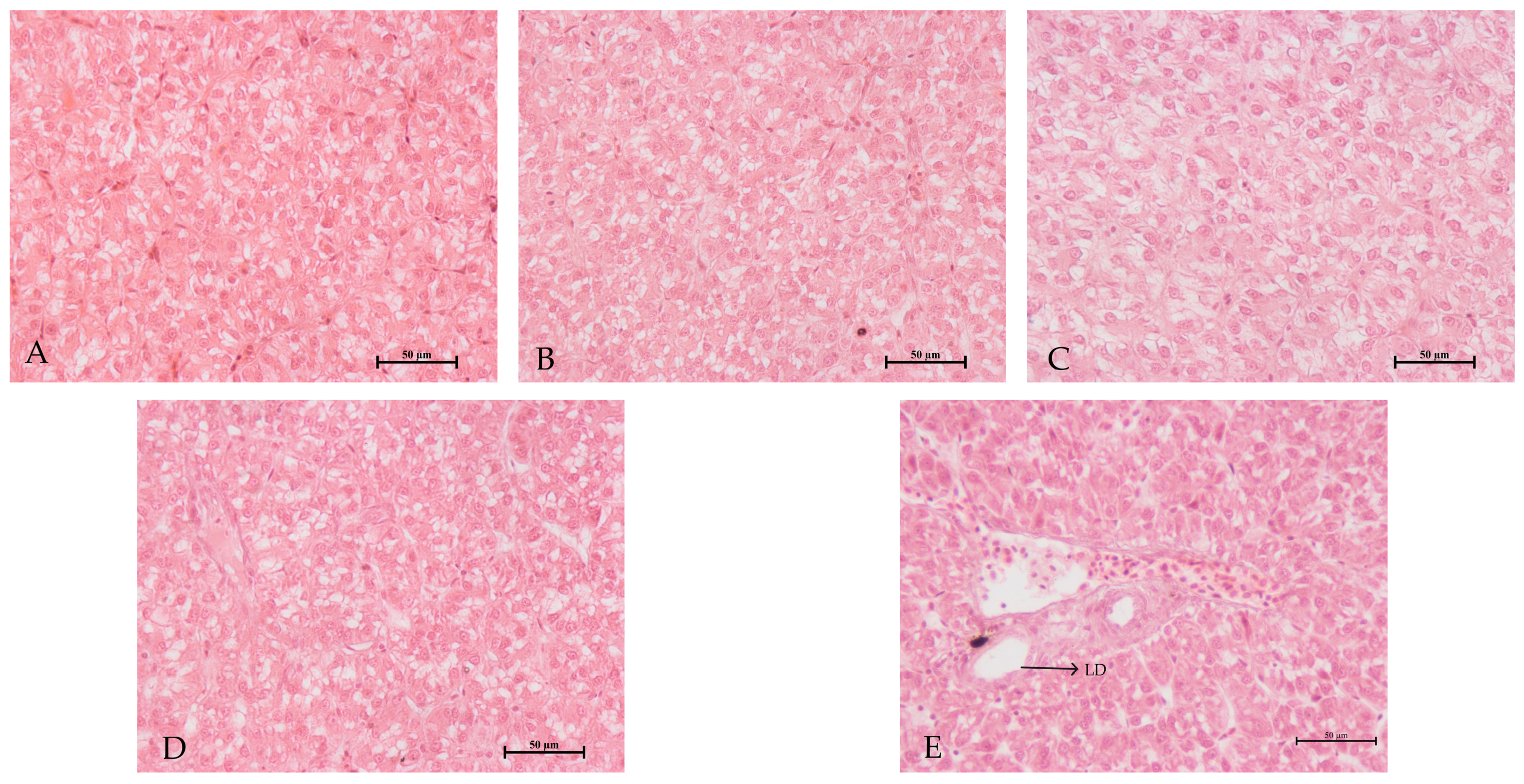 Animals 13 00817 g002