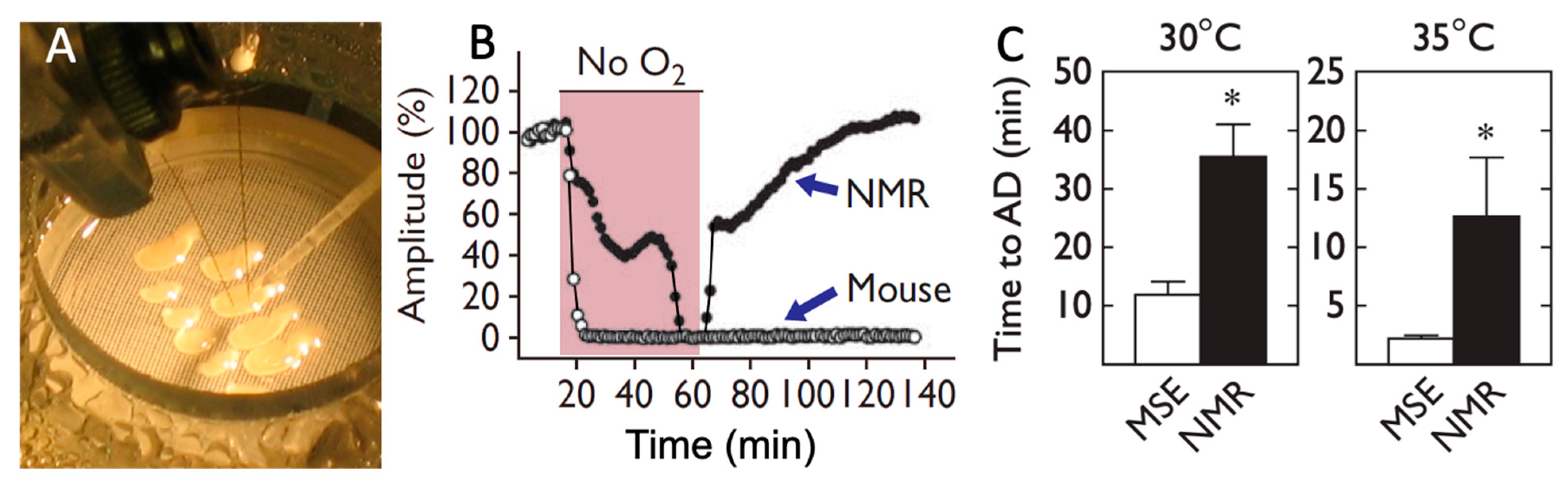 Animals 13 00819 g003 Animals 13 00819 g003