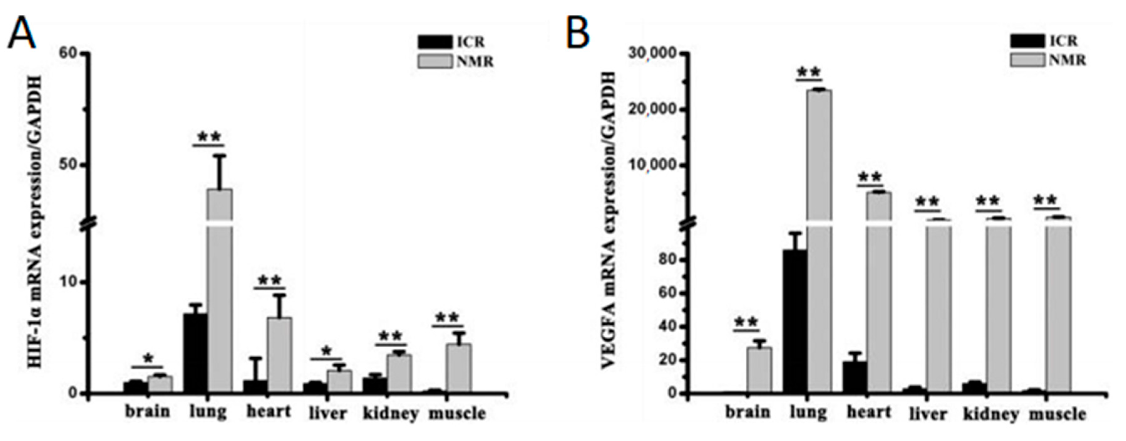 Animals 13 00819 g005 Animals 13 00819 g005
