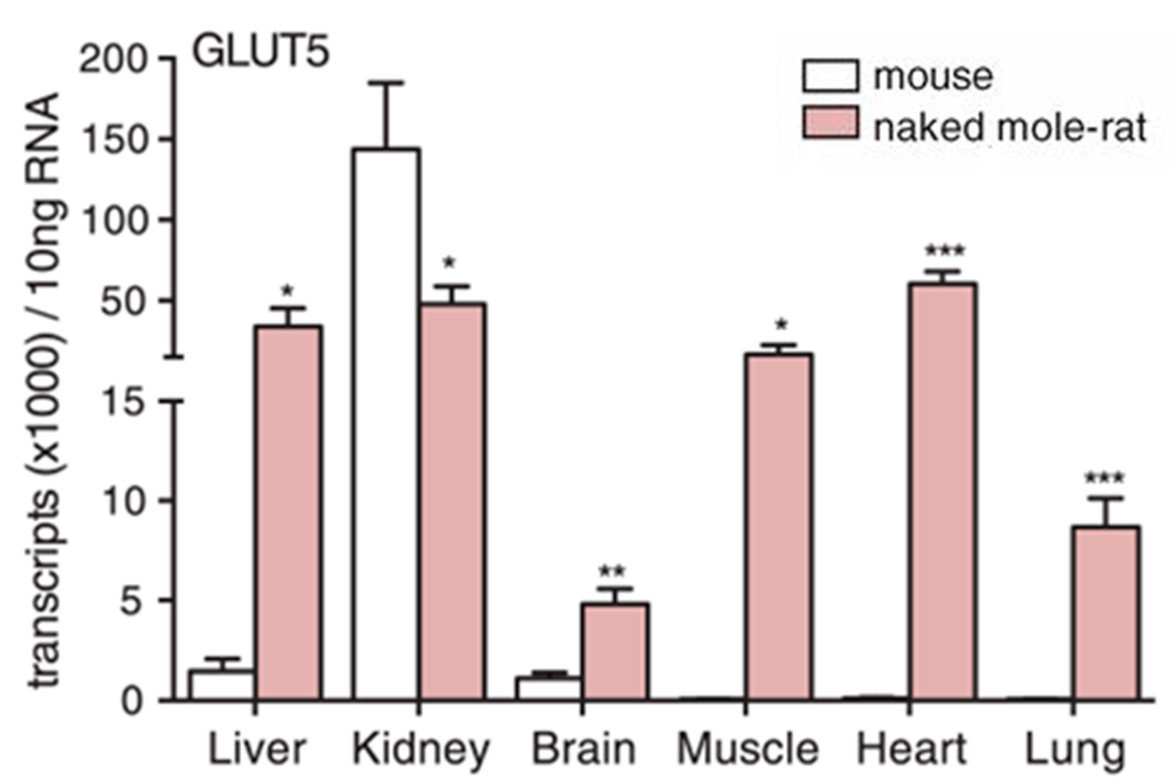 Animals 13 00819 g006 Animals 13 00819 g006