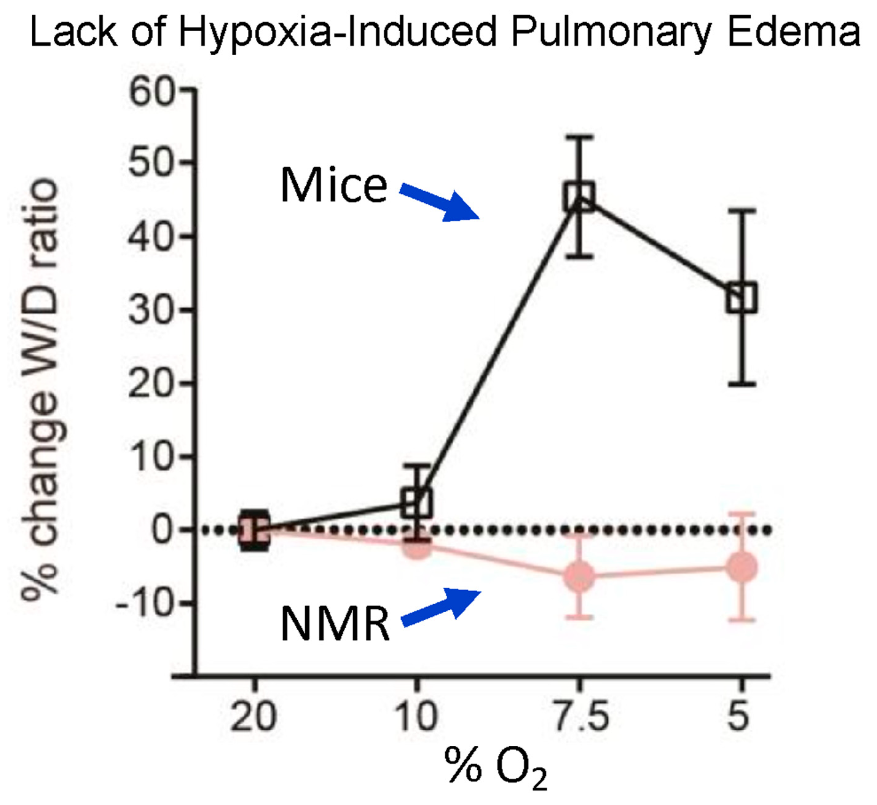 Animals 13 00819 g007 Animals 13 00819 g007