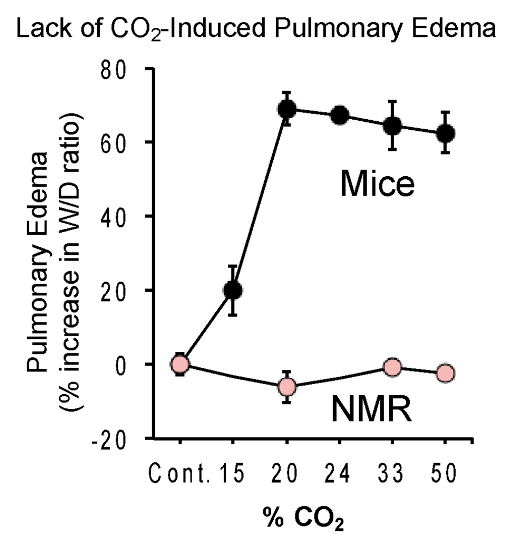 Animals 13 00819 g011 Animals 13 00819 g011