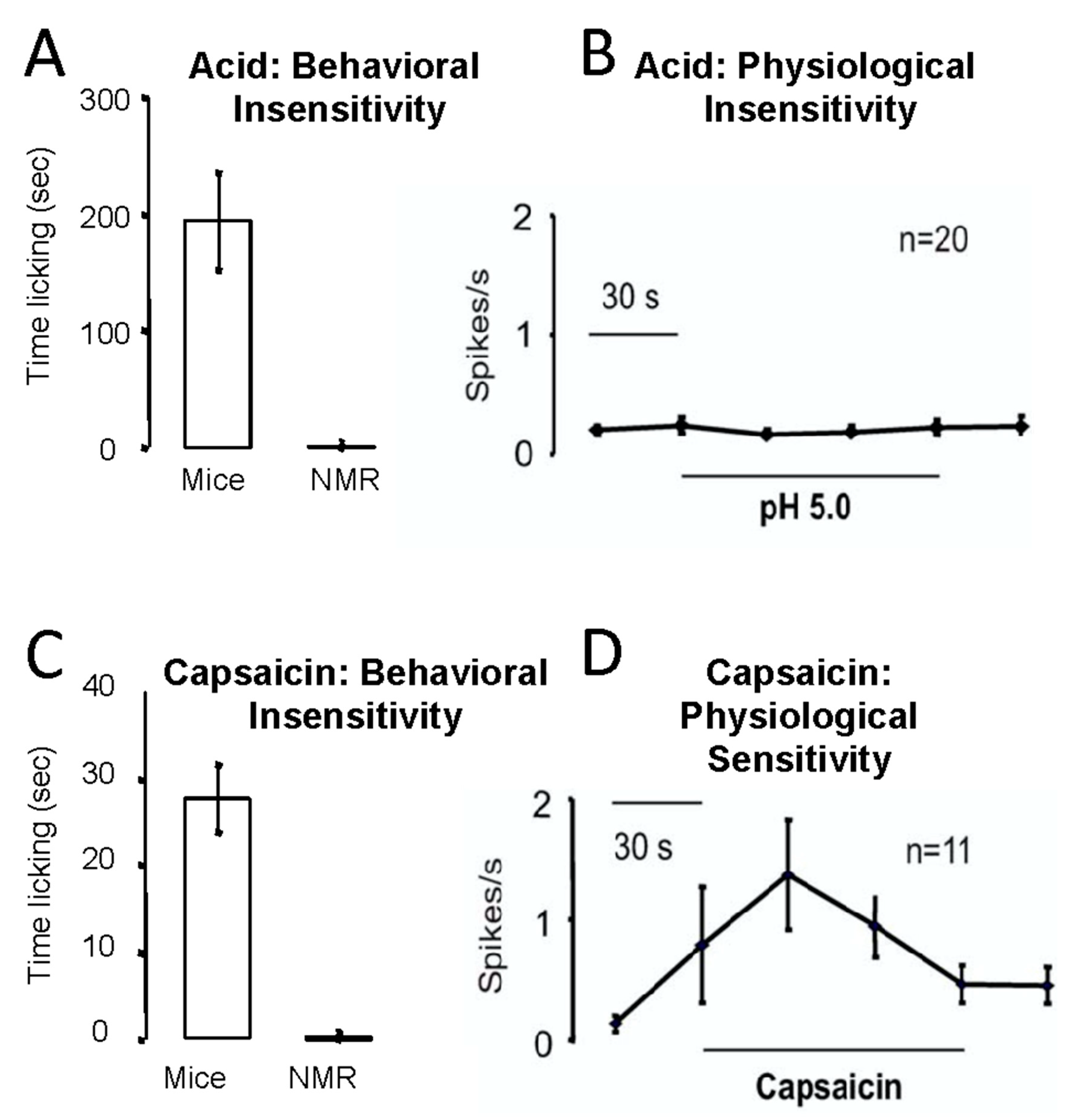 Animals 13 00819 g013 Animals 13 00819 g013