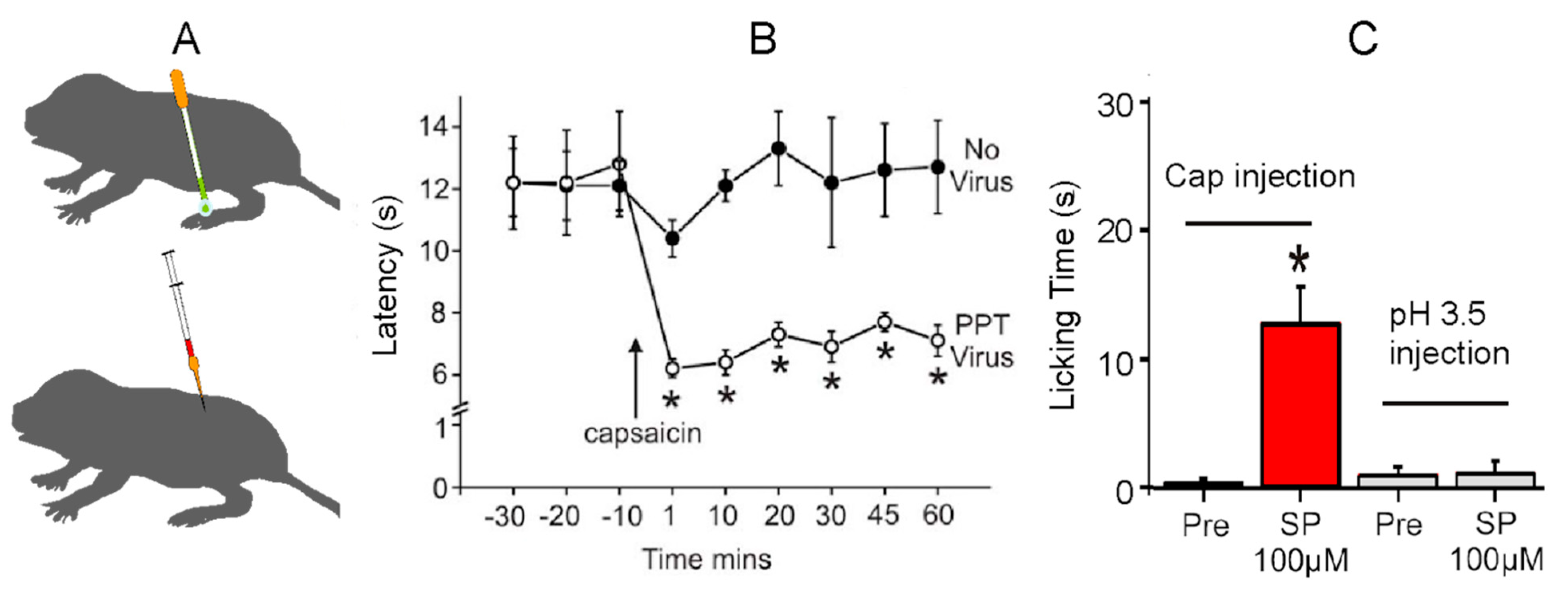 Animals 13 00819 g014 Animals 13 00819 g014