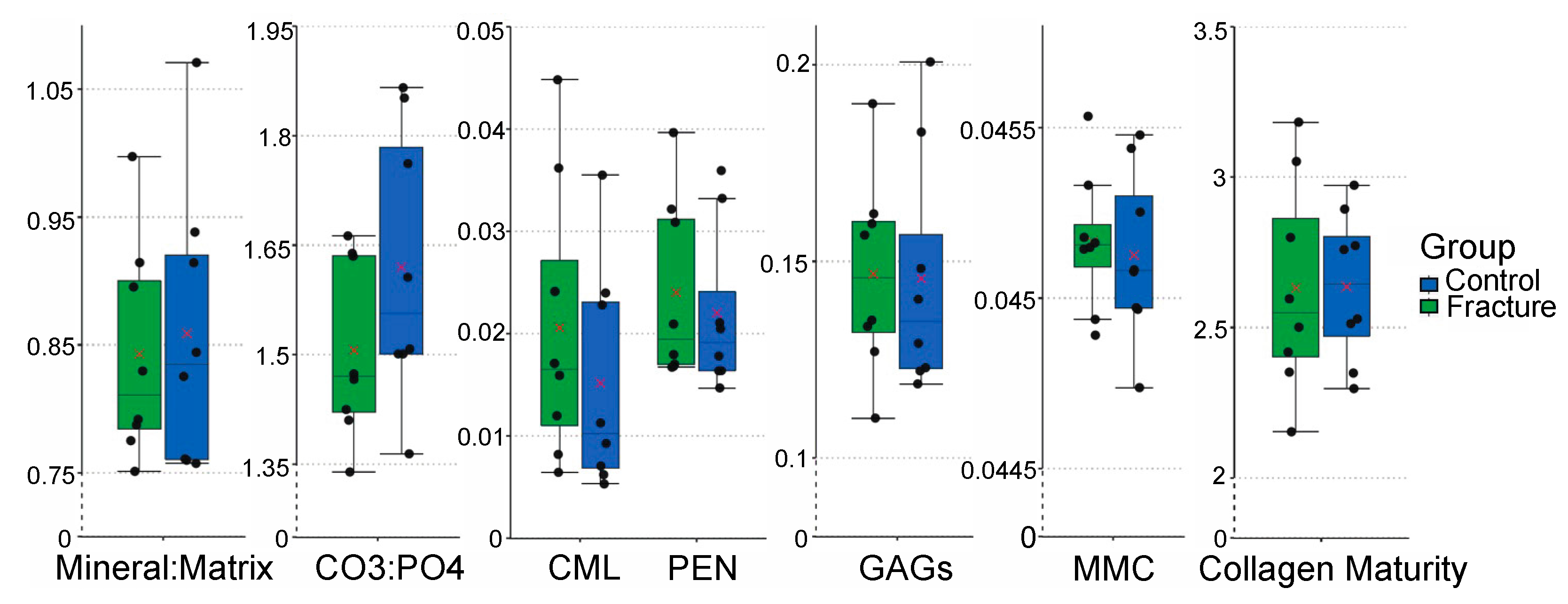 Animals | Free Full-Text | Metacarpophalangeal Joint Pathology and Bone  Mineral Density Increase with Exercise but Not with Incidence of Proximal  Sesamoid Bone Fracture in Thoroughbred Racehorses