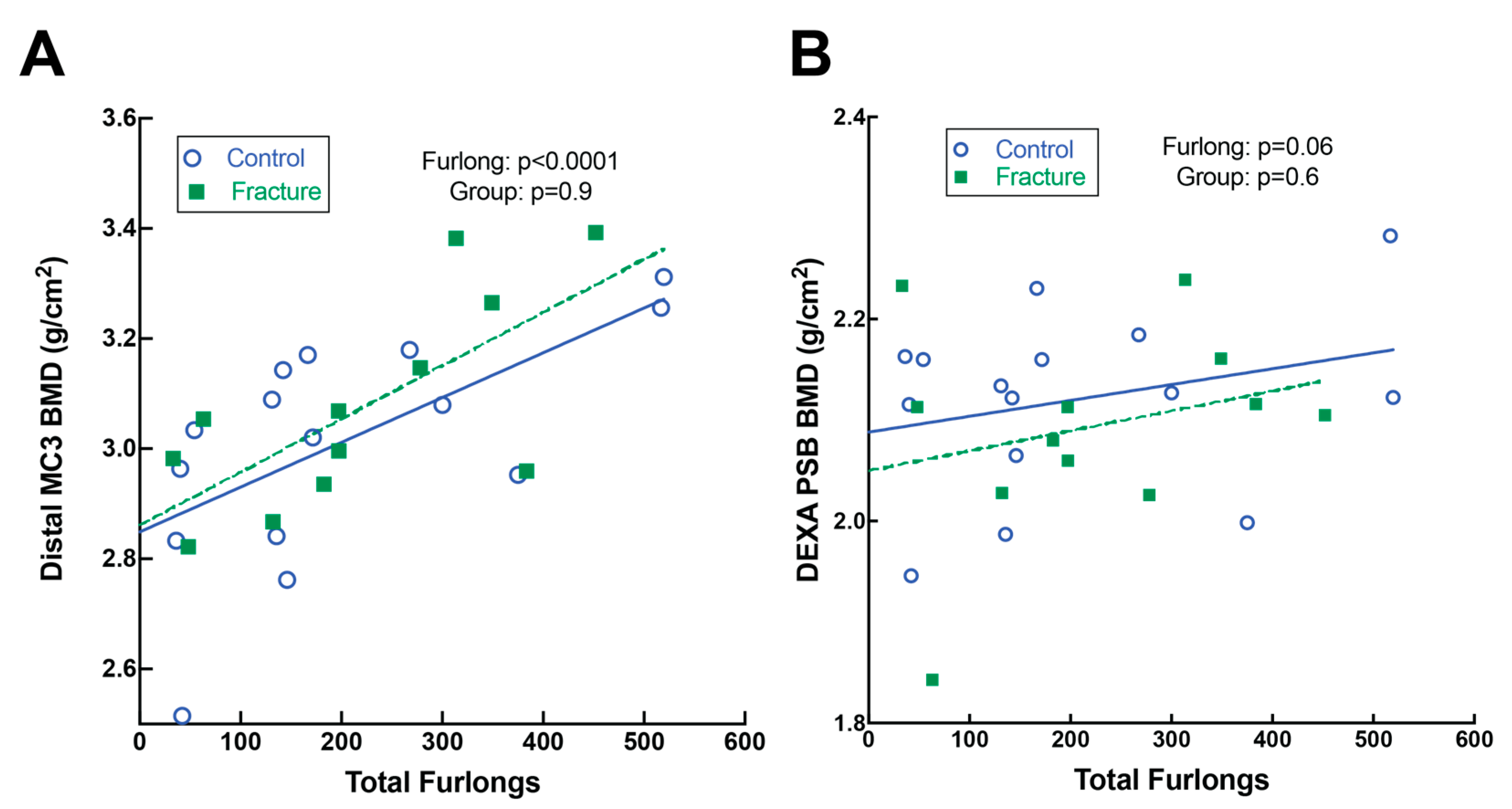 Animals | Free Full-Text | Metacarpophalangeal Joint Pathology and Bone  Mineral Density Increase with Exercise but Not with Incidence of Proximal  Sesamoid Bone Fracture in Thoroughbred Racehorses