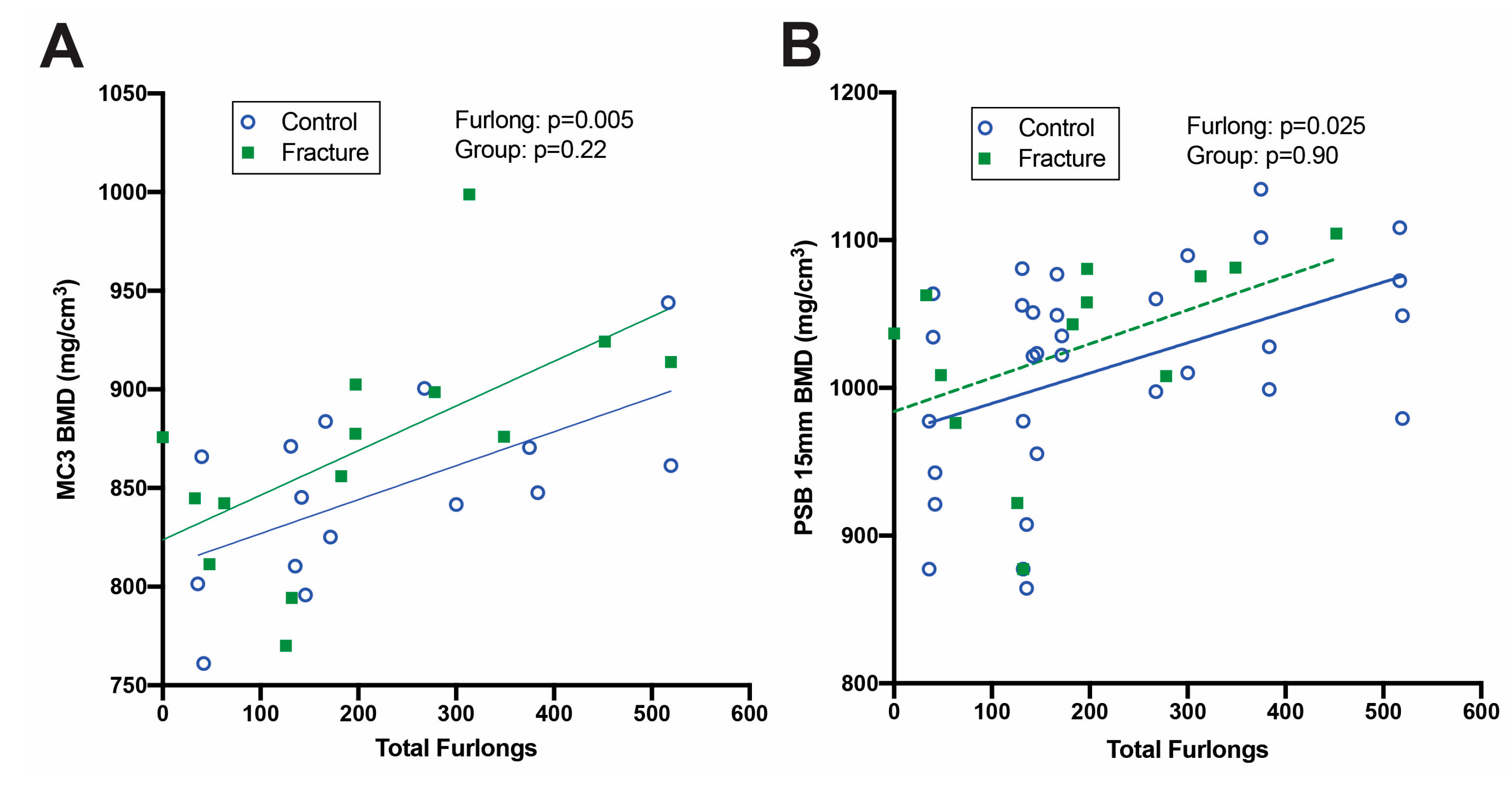 Animals | Free Full-Text | Metacarpophalangeal Joint Pathology and Bone  Mineral Density Increase with Exercise but Not with Incidence of Proximal  Sesamoid Bone Fracture in Thoroughbred Racehorses