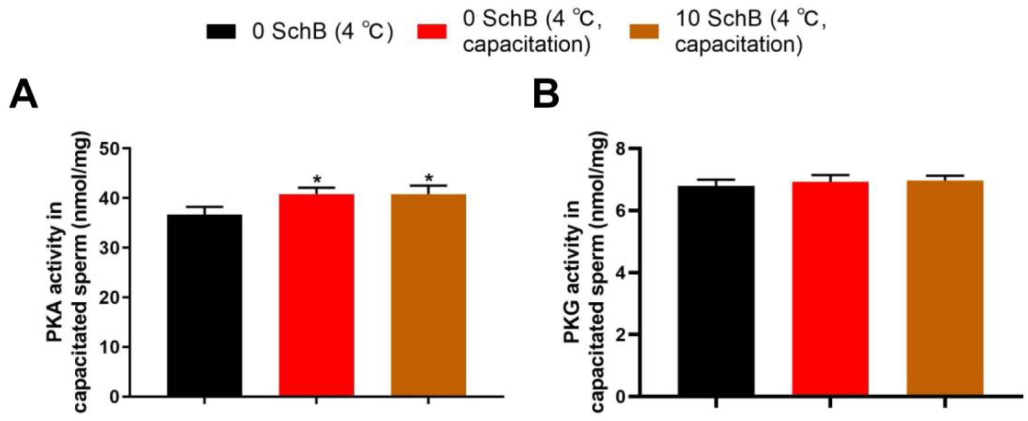 Animals | Free Full-Text | Supplementation Of Schisandrin B In Semen ...