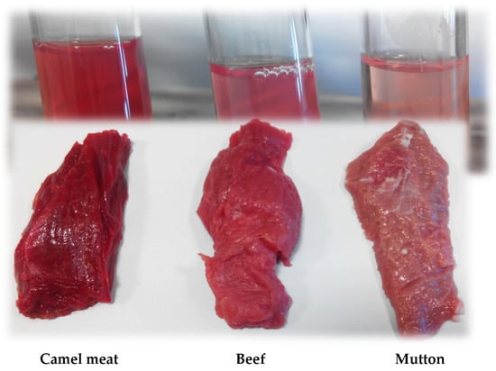 Animals | Free Full-Text | A Comparative Study on Changes in Protein