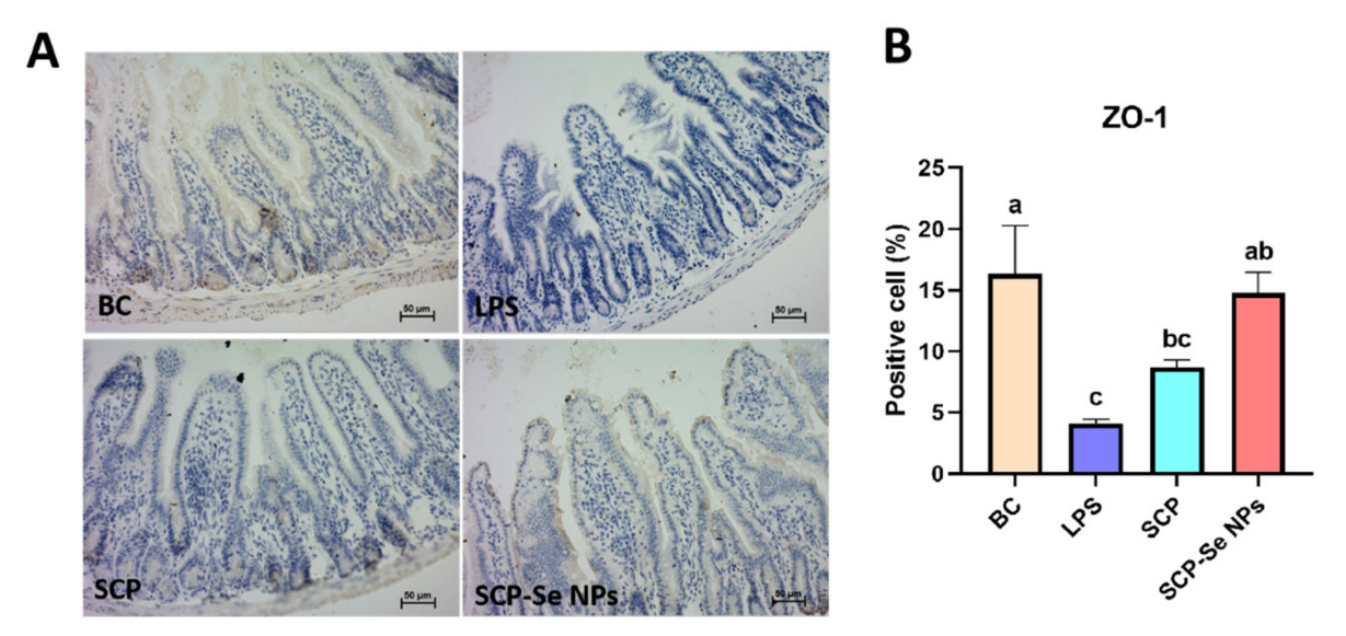Animals 13 00930 g010