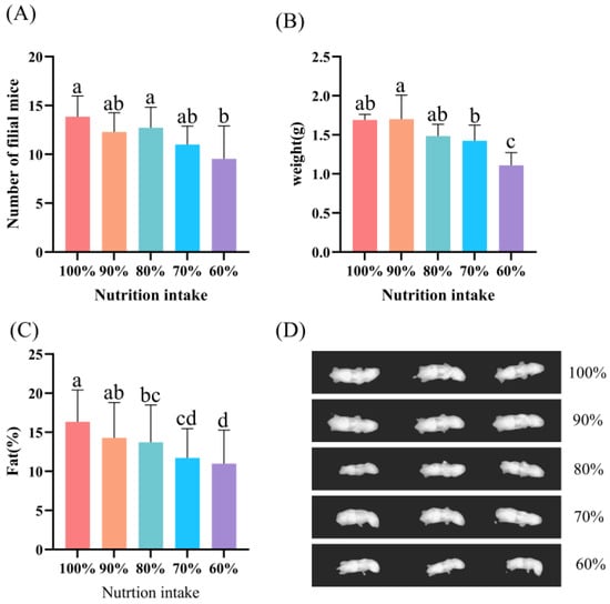 Animals | Free Full-Text | Effect Of Maternal Gradient Nutritional ...