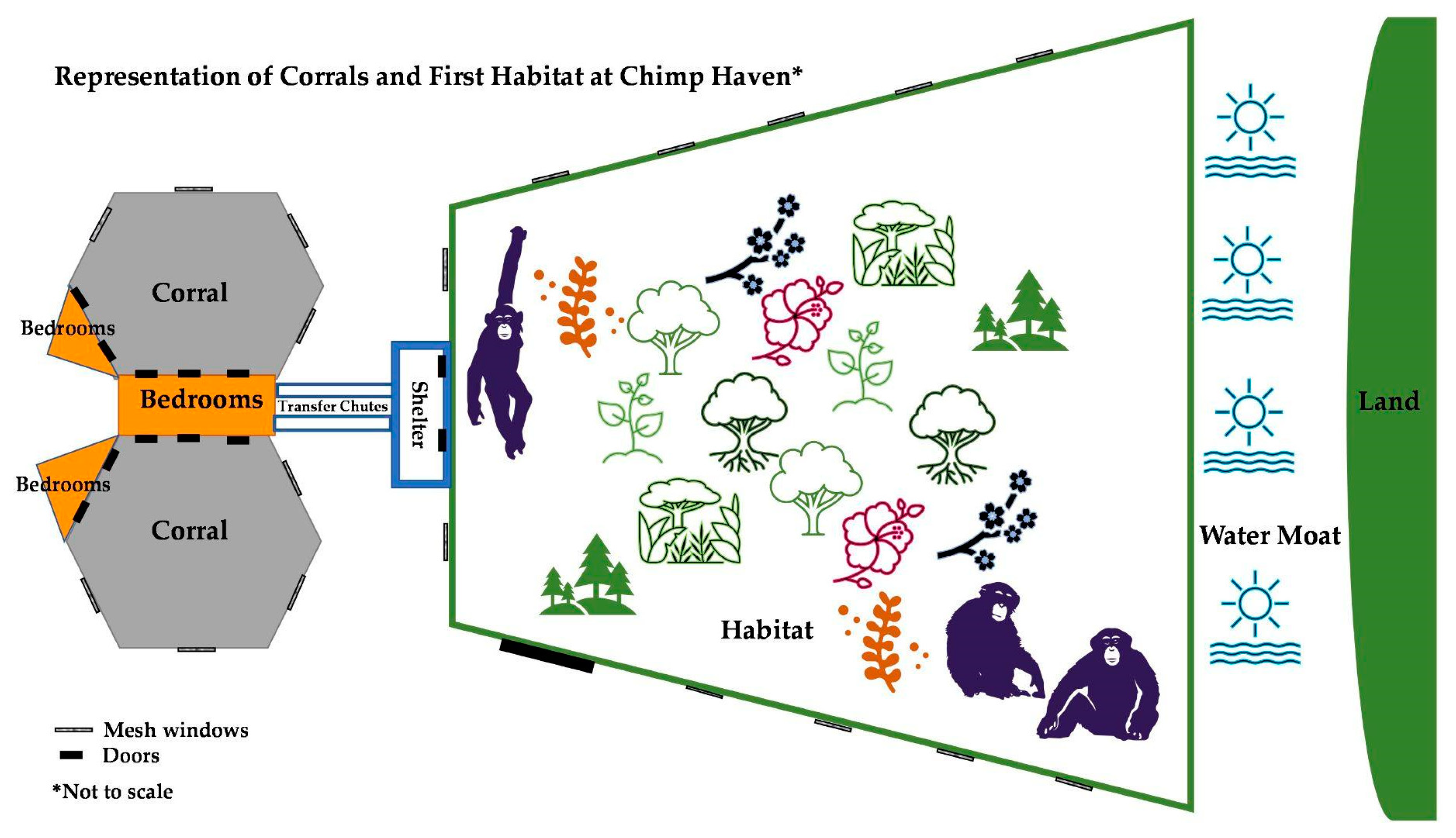 Animals | Free Full-Text | How Sanctuary Chimpanzees (Pan troglodytes) Use  Space after Being Introduced to a Large Outdoor Habitat