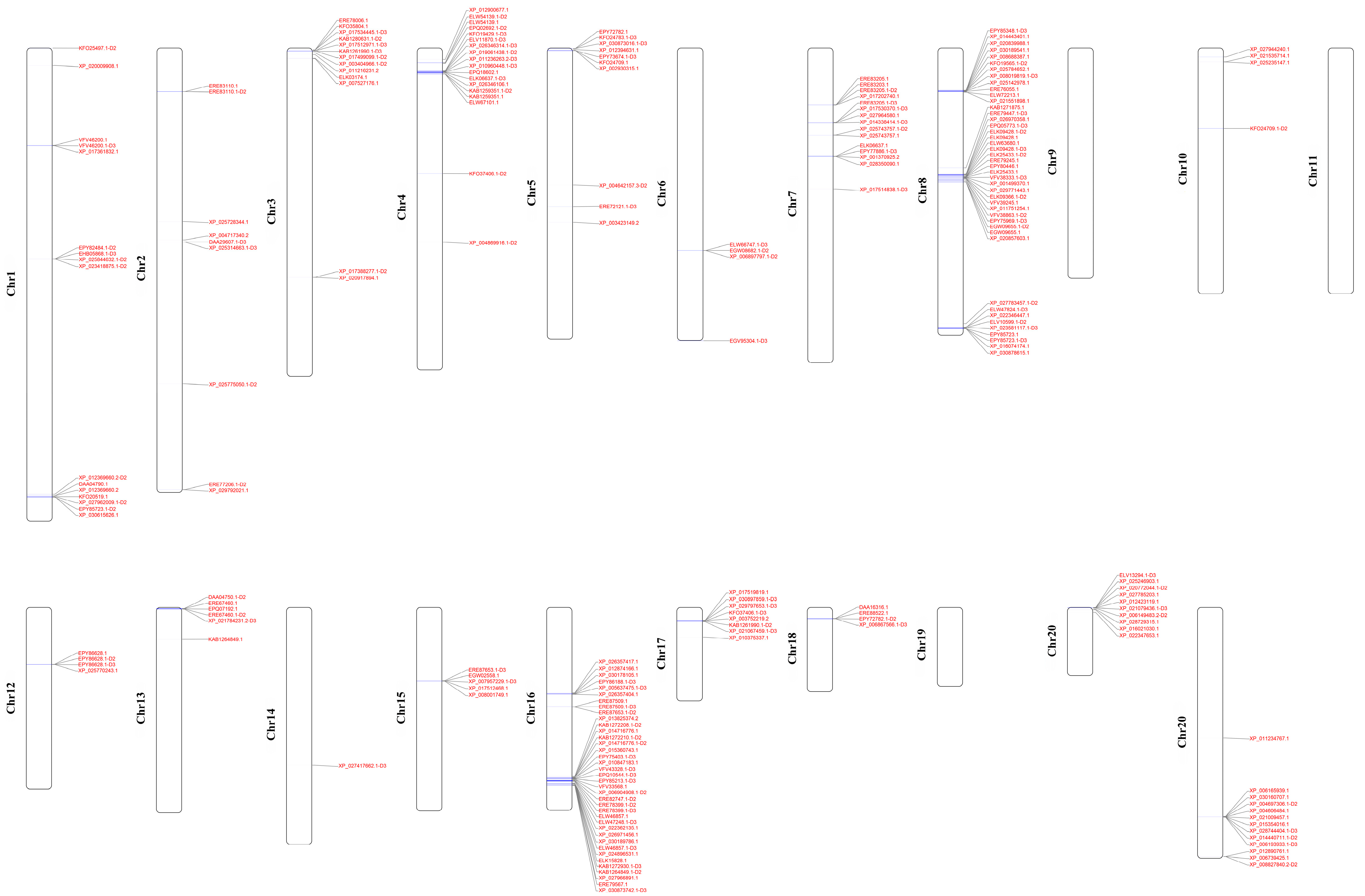 Animals 13 00979 g003