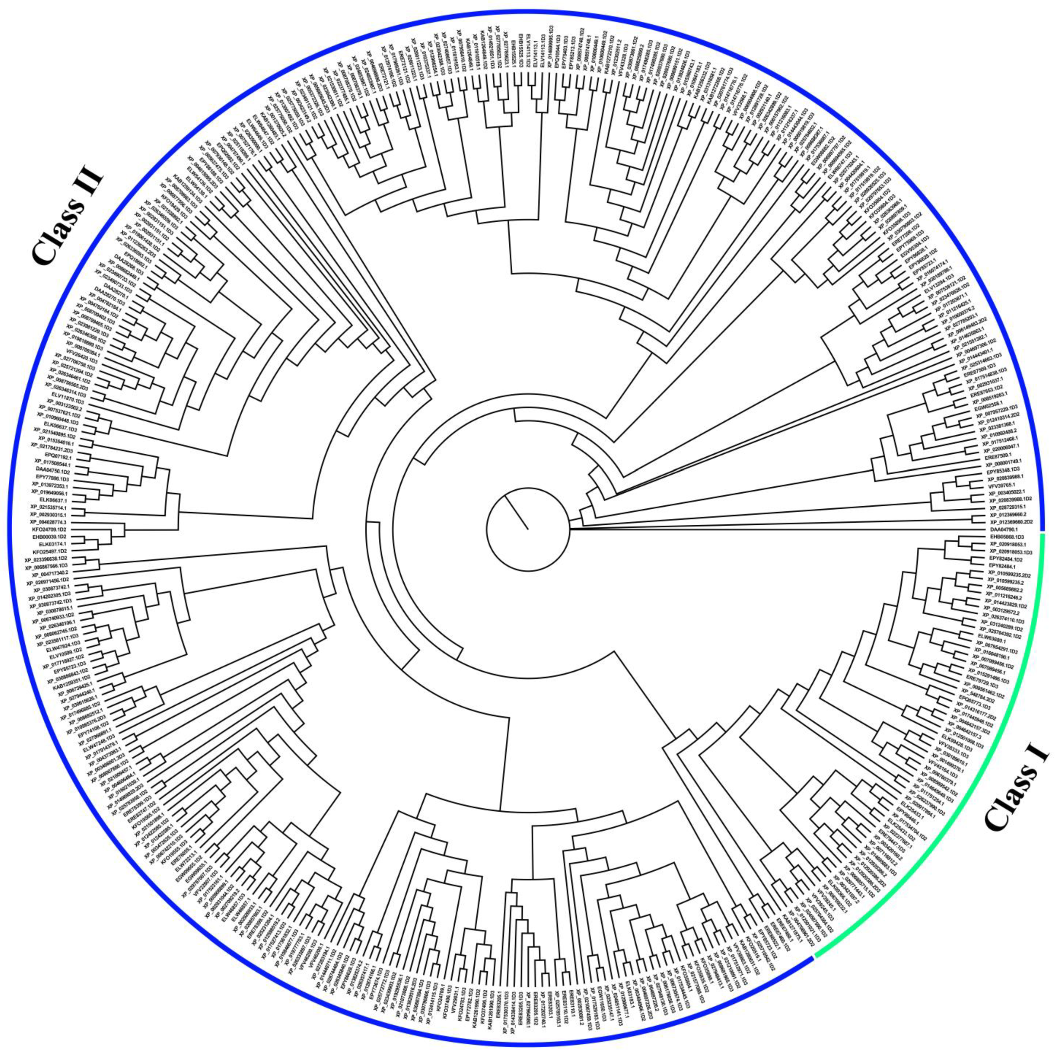 Animals 13 00979 g004