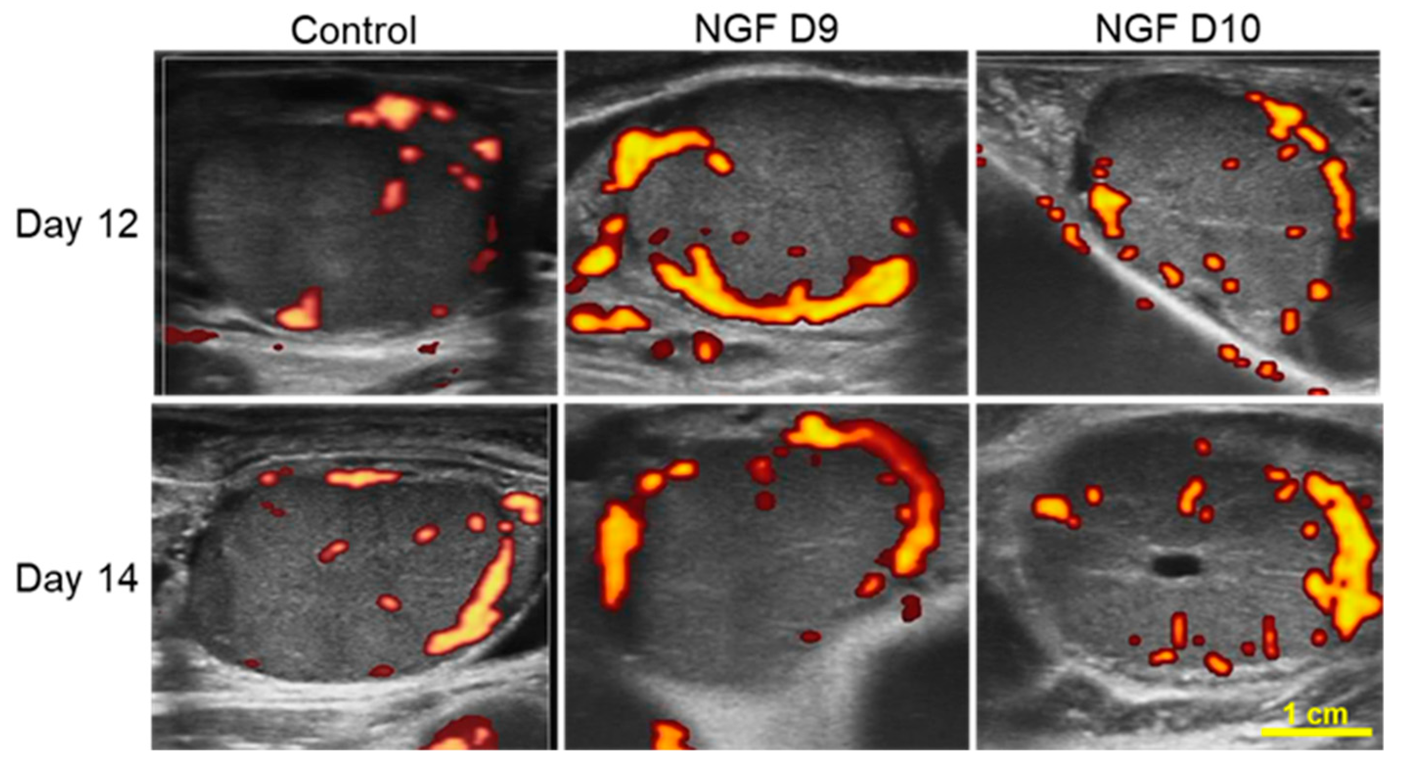 Animals 13 01004 g005 Animals 13 01004 g005