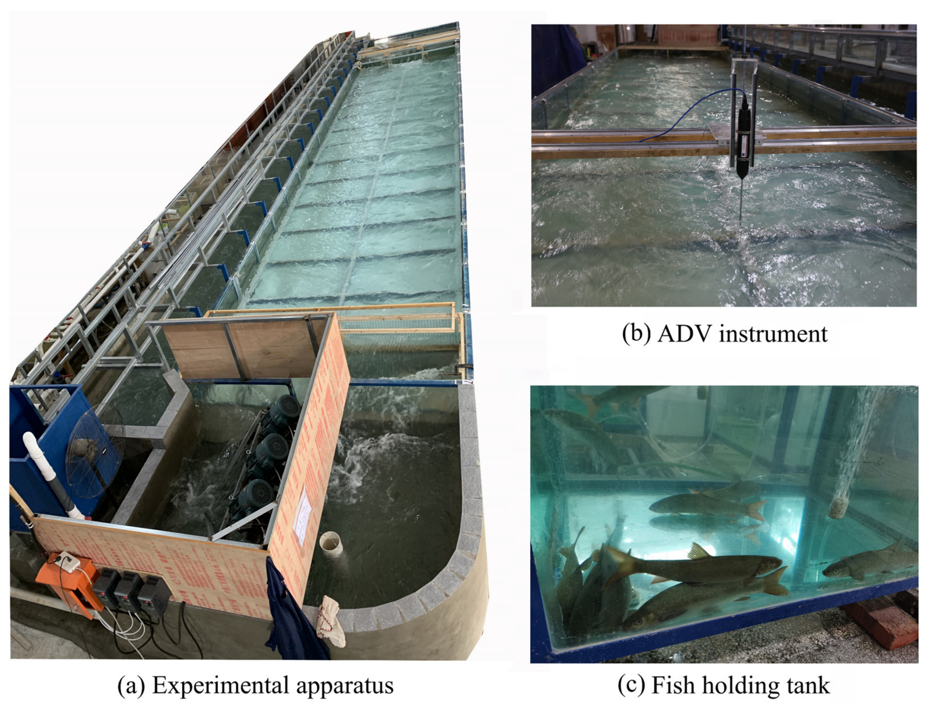 Animals 13 01025 g001 Animals 13 01025 g001