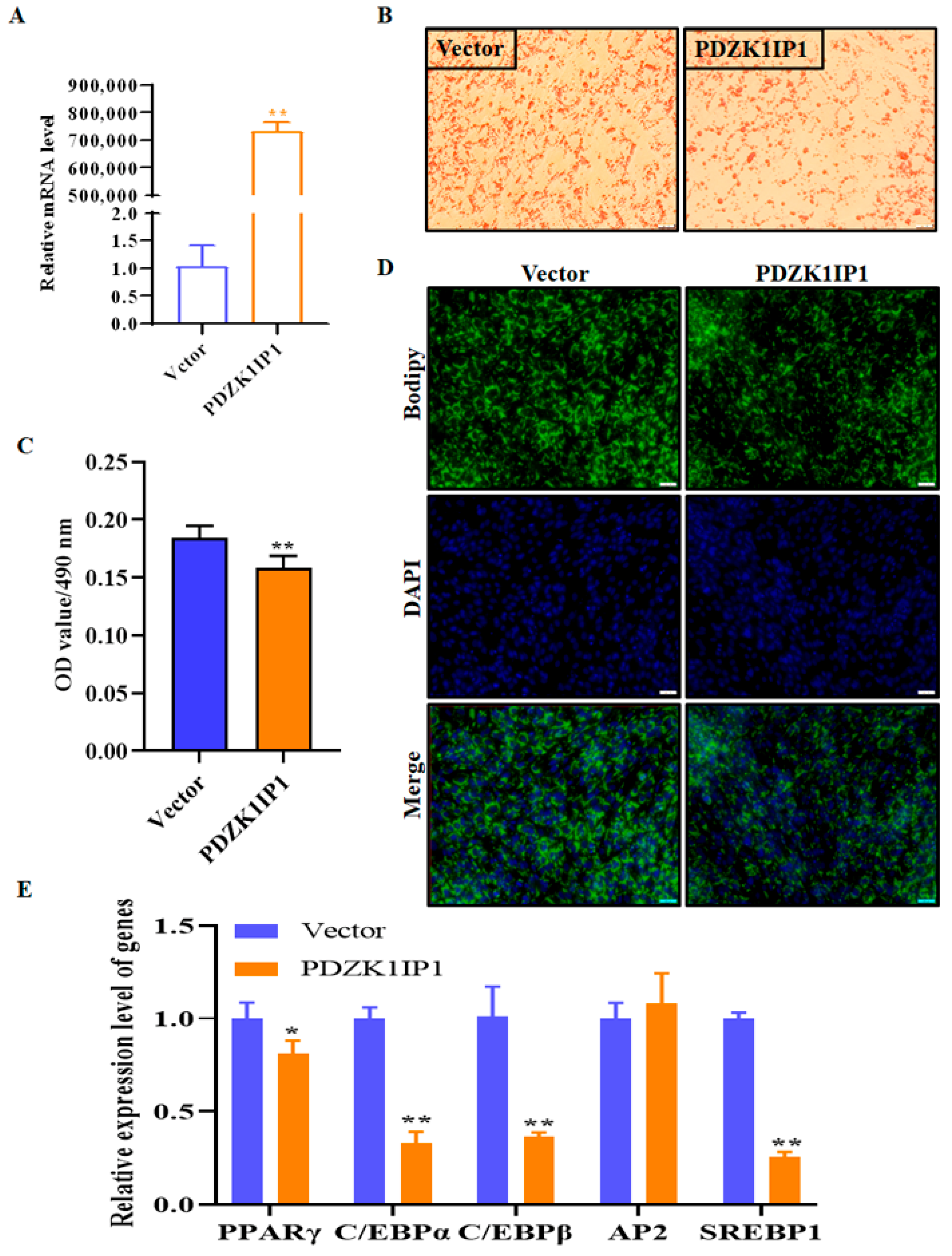 Animals 13 01046 g002
