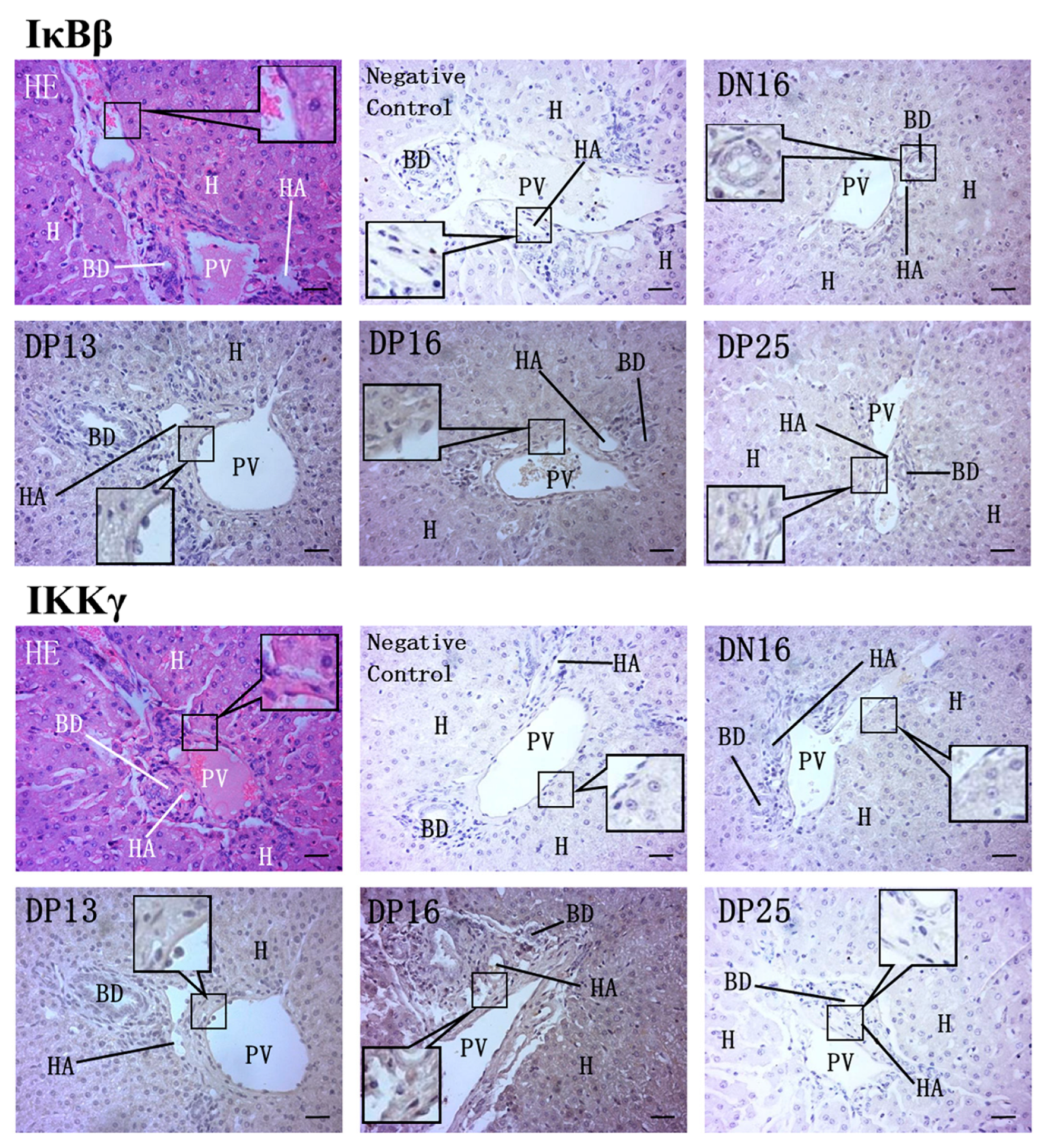 Animals 13 01057 g003