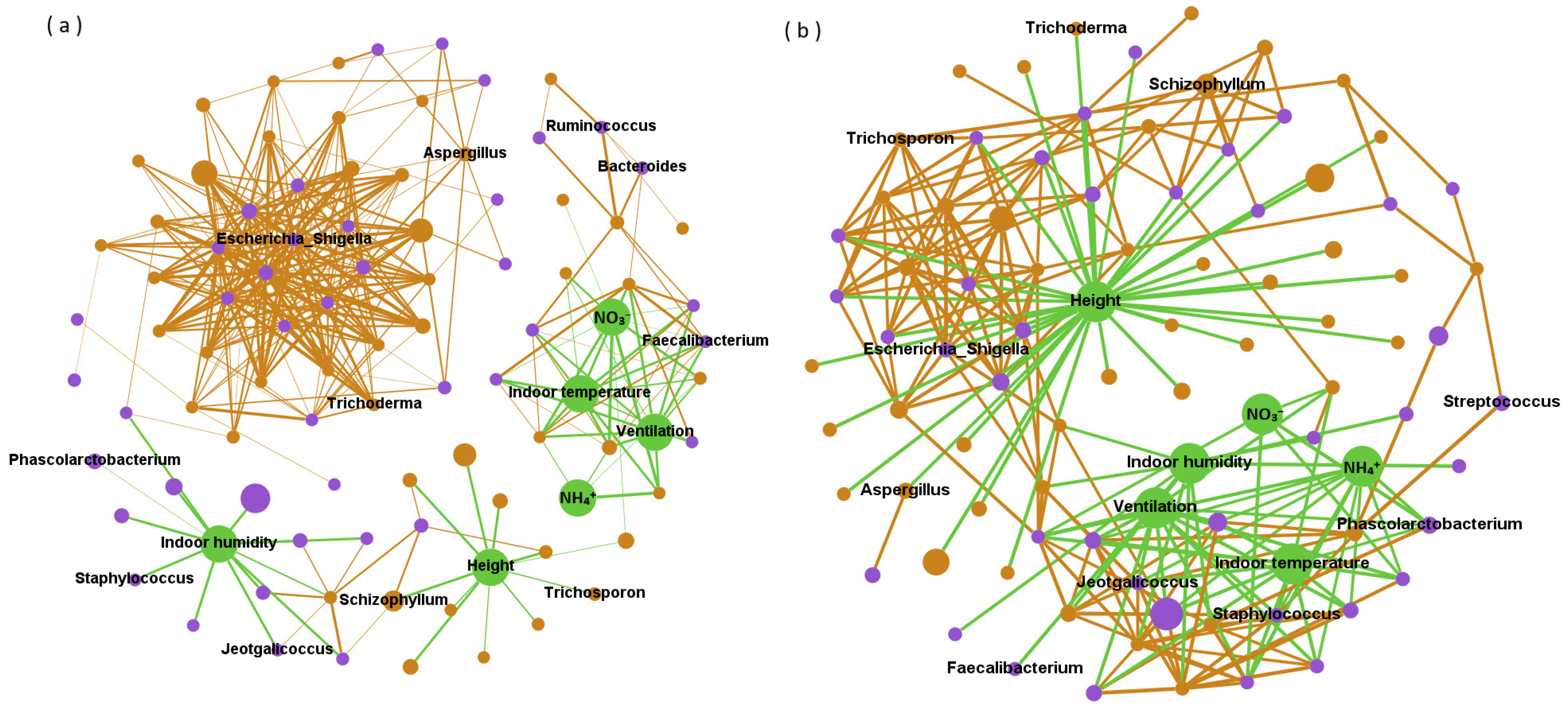 Tensile properties of hair fibres obtained from different breeds of pigs -  ScienceDirect