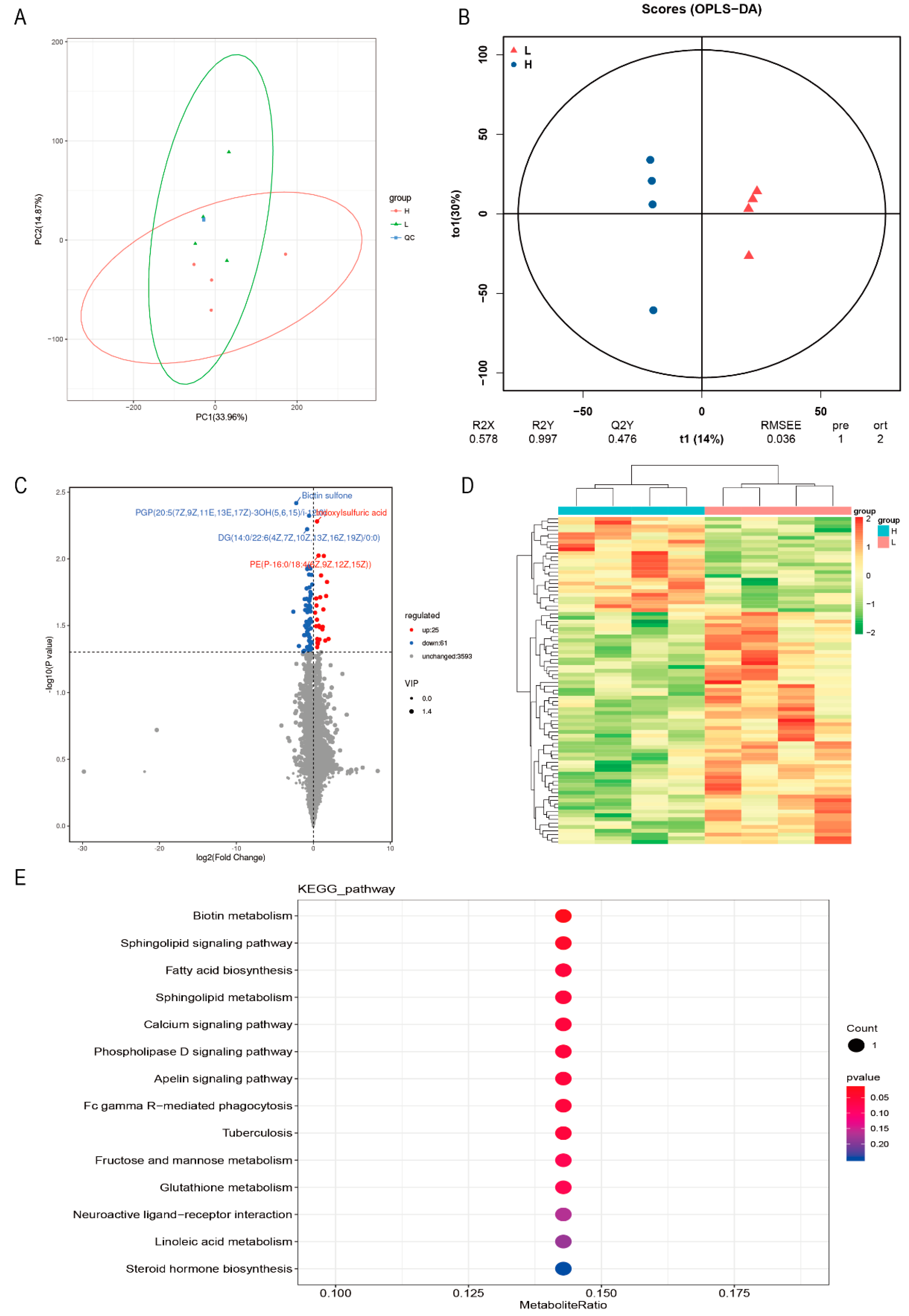 Animals 13 01060 g002