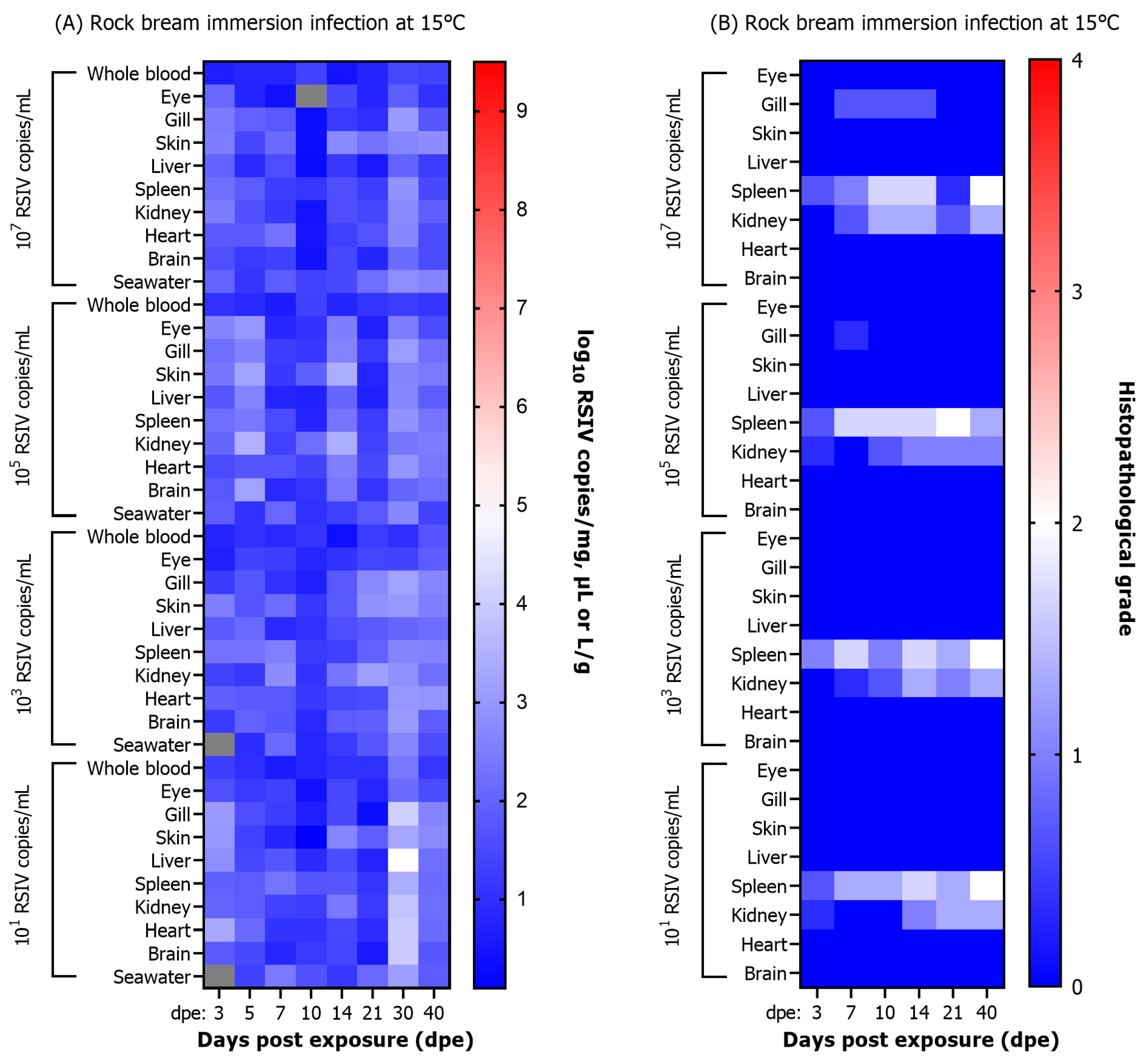 Animals 13 01210 g005 Animals 13 01210 g005