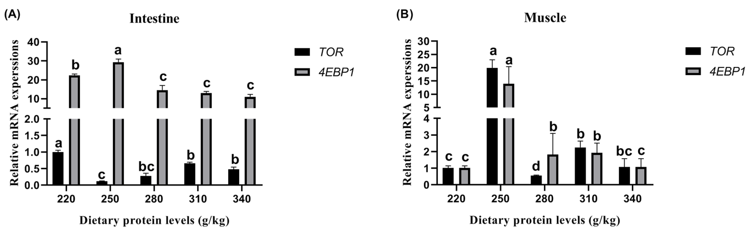 Animals 13 01237 g002