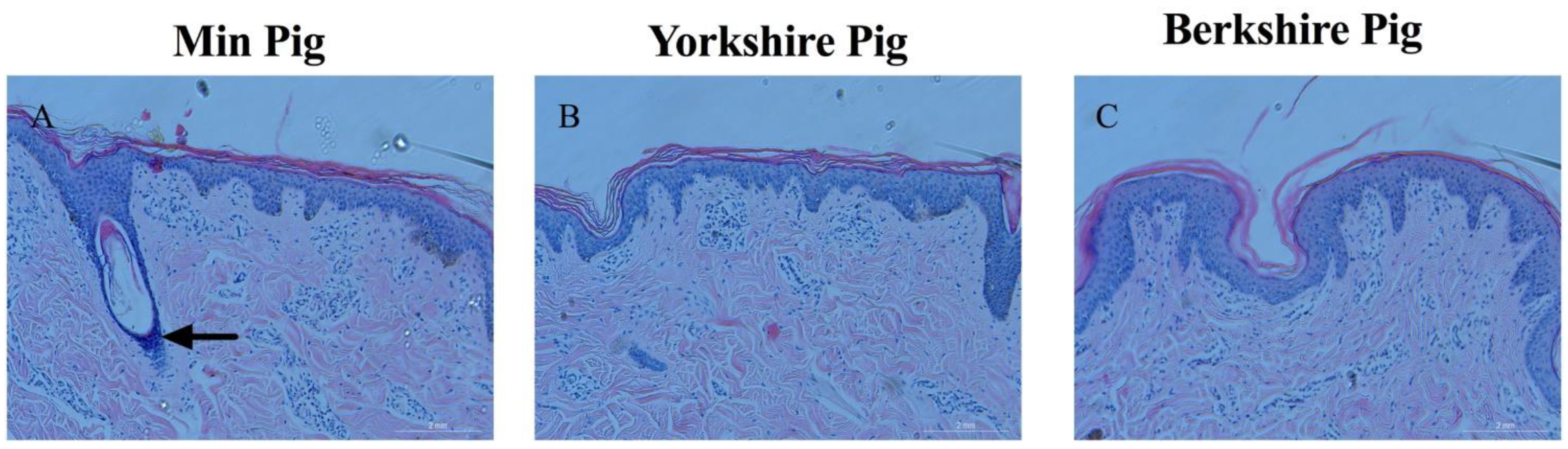 Animals 13 01239 g002 Animals 13 01239 g002