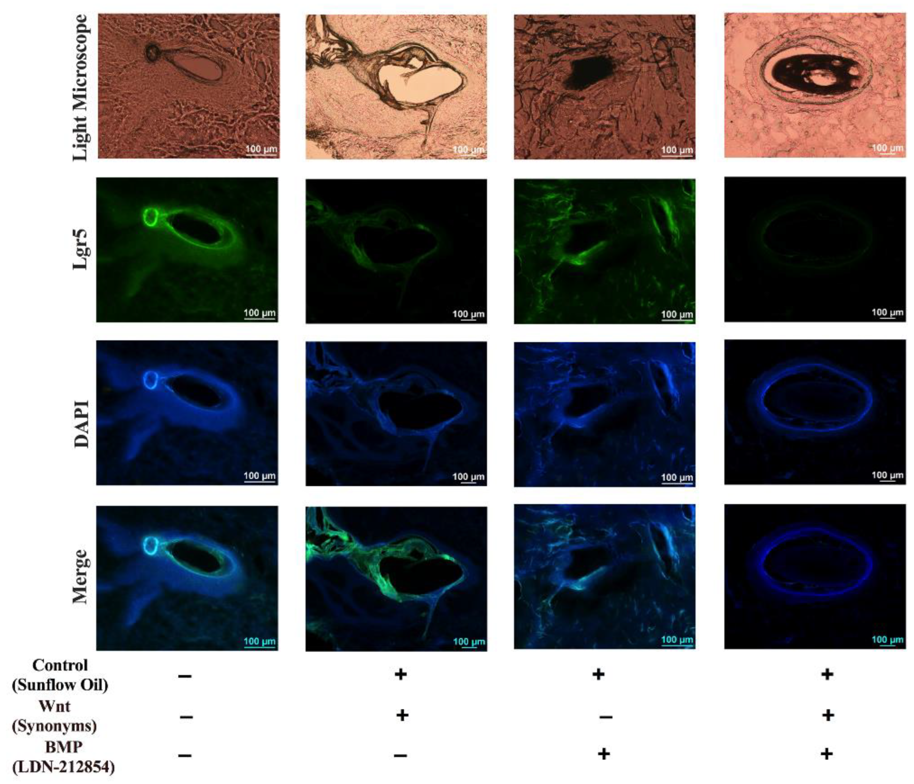 Animals 13 01239 g006 Animals 13 01239 g006