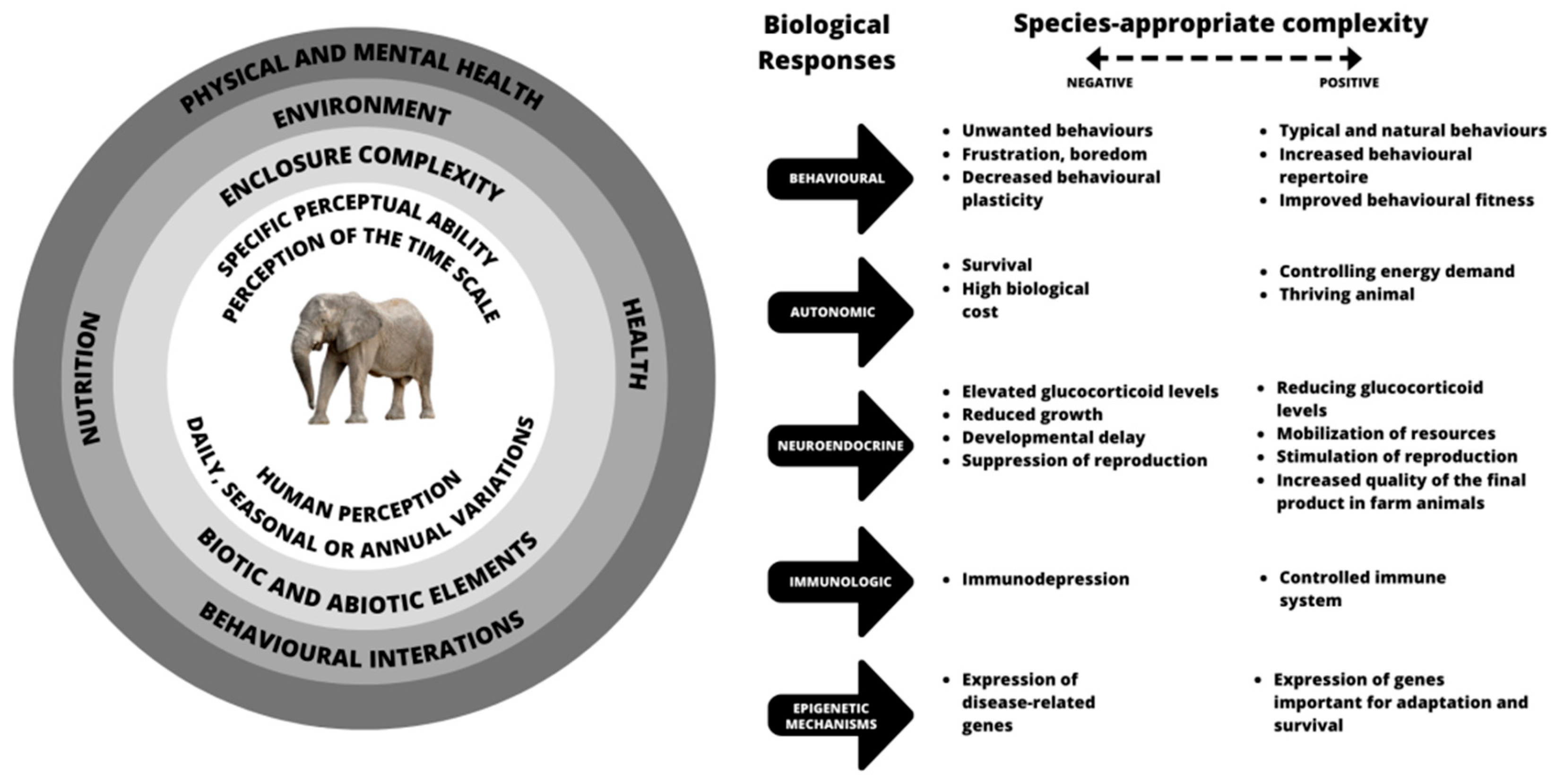 Animals | Free Full-Text | Review of the Effects of Enclosure Complexity  and Design on the Behaviour and Physiology of Zoo Animals