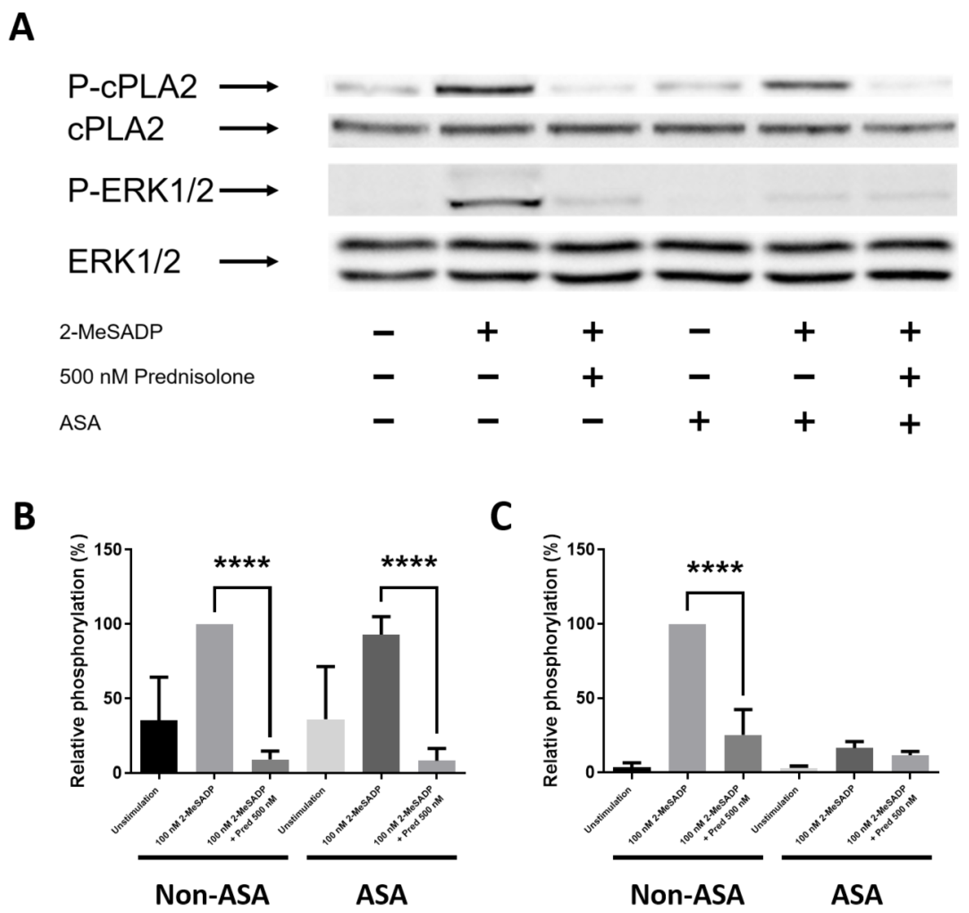 Animals 13 01299 g005 Animals 13 01299 g005