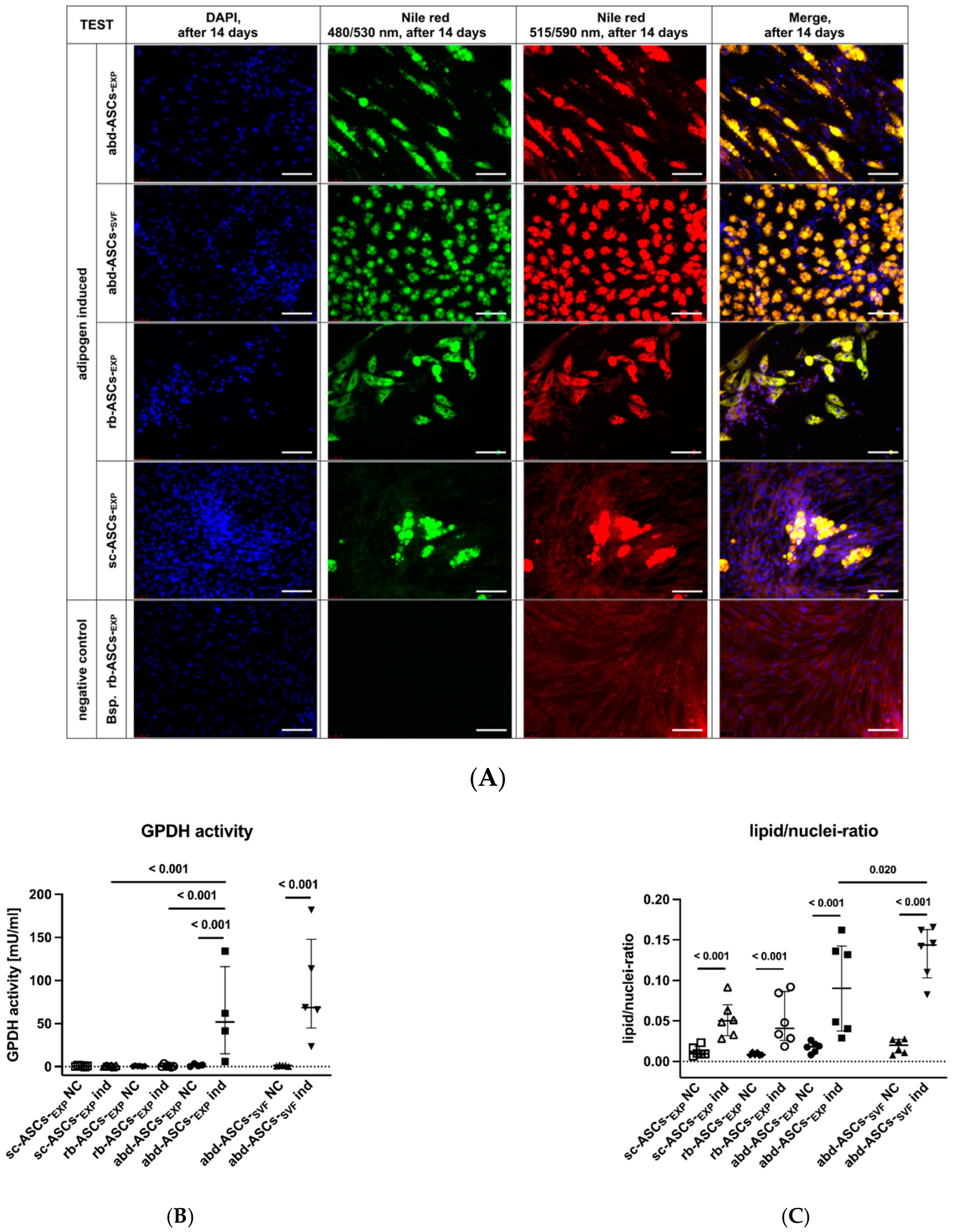 Animals 13 01352 g003
