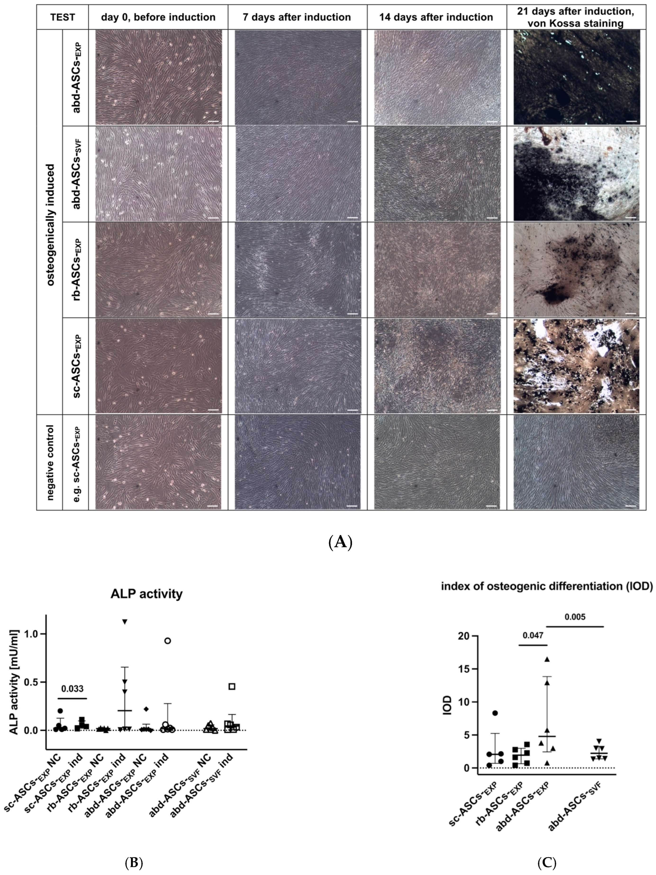 Animals 13 01352 g004