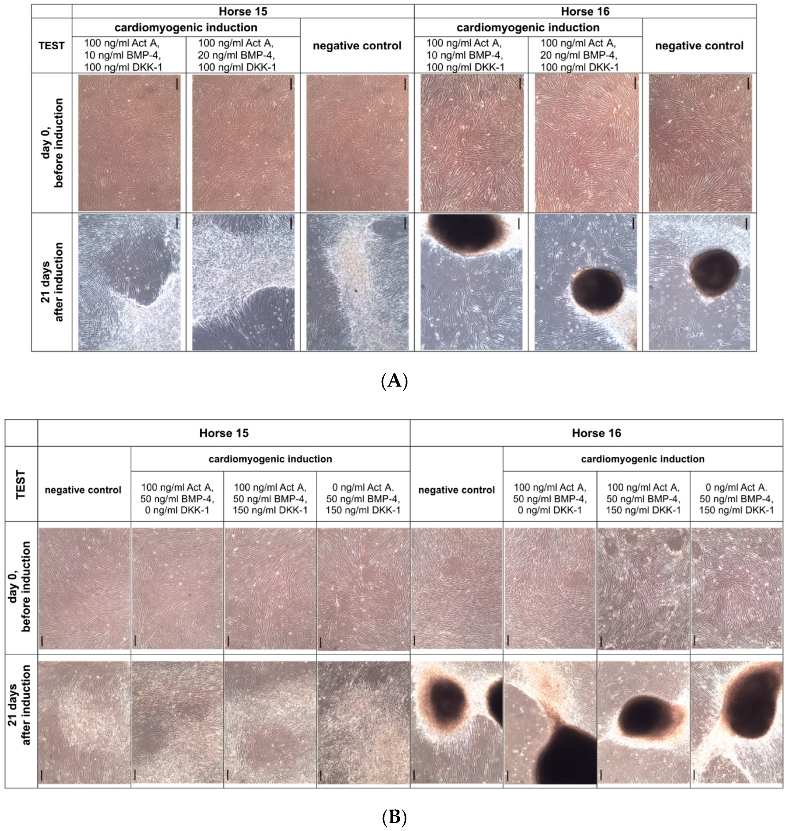 Animals 13 01352 g006