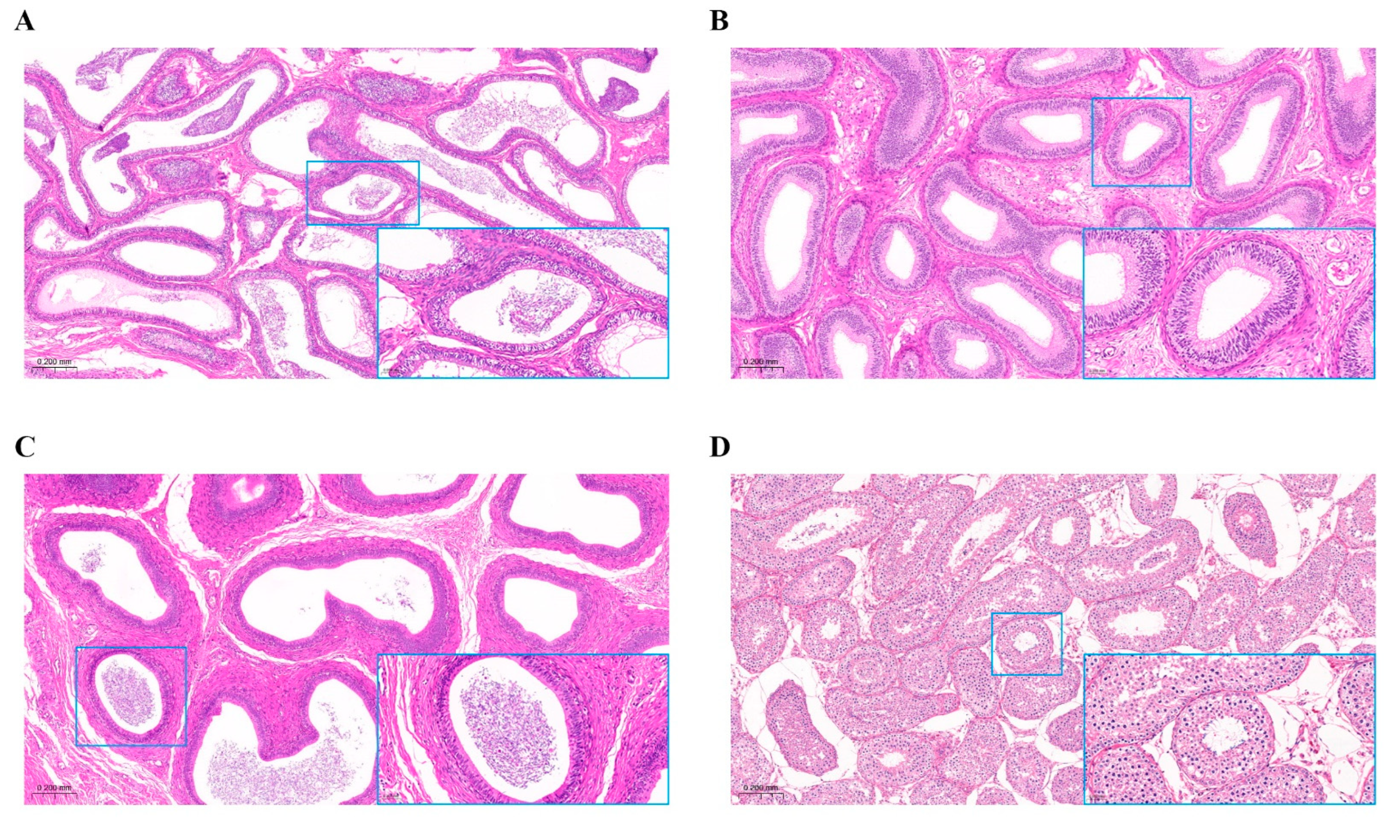 Animals 13 01355 g001