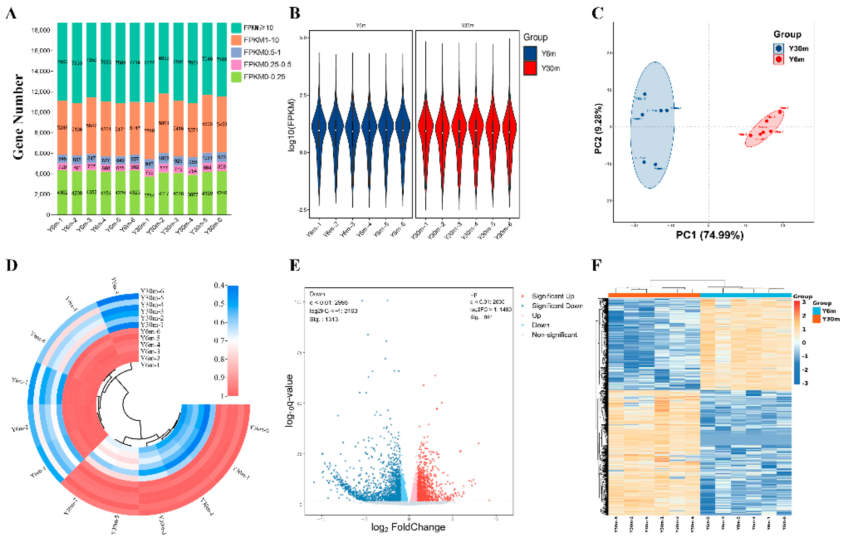 Animals 13 01355 g002