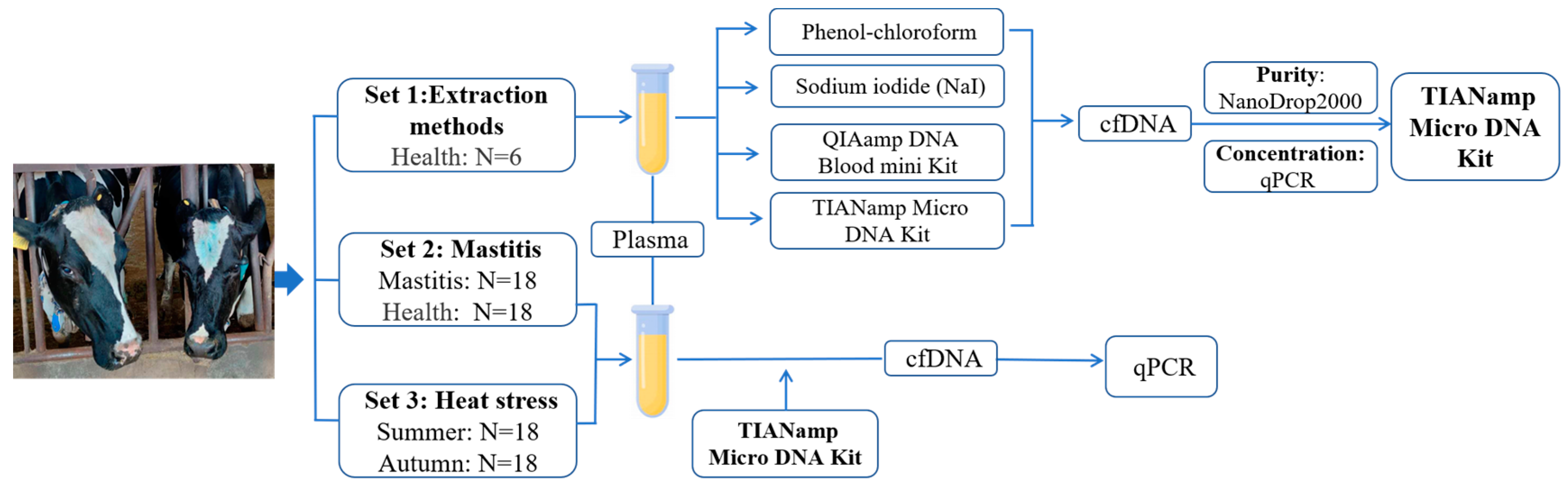 QIAamp DNA Blood Kits