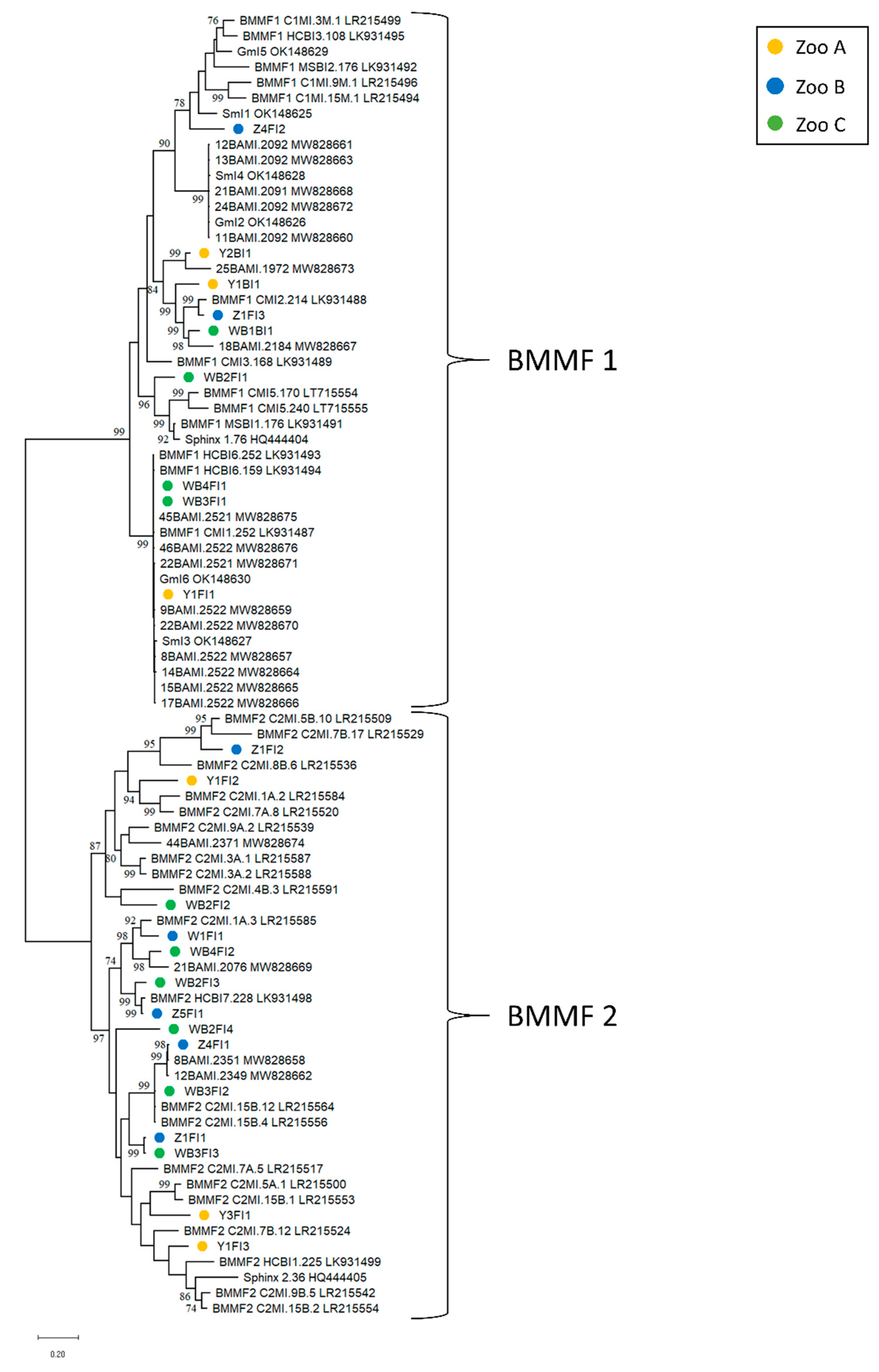 Animals 13 01492 g002