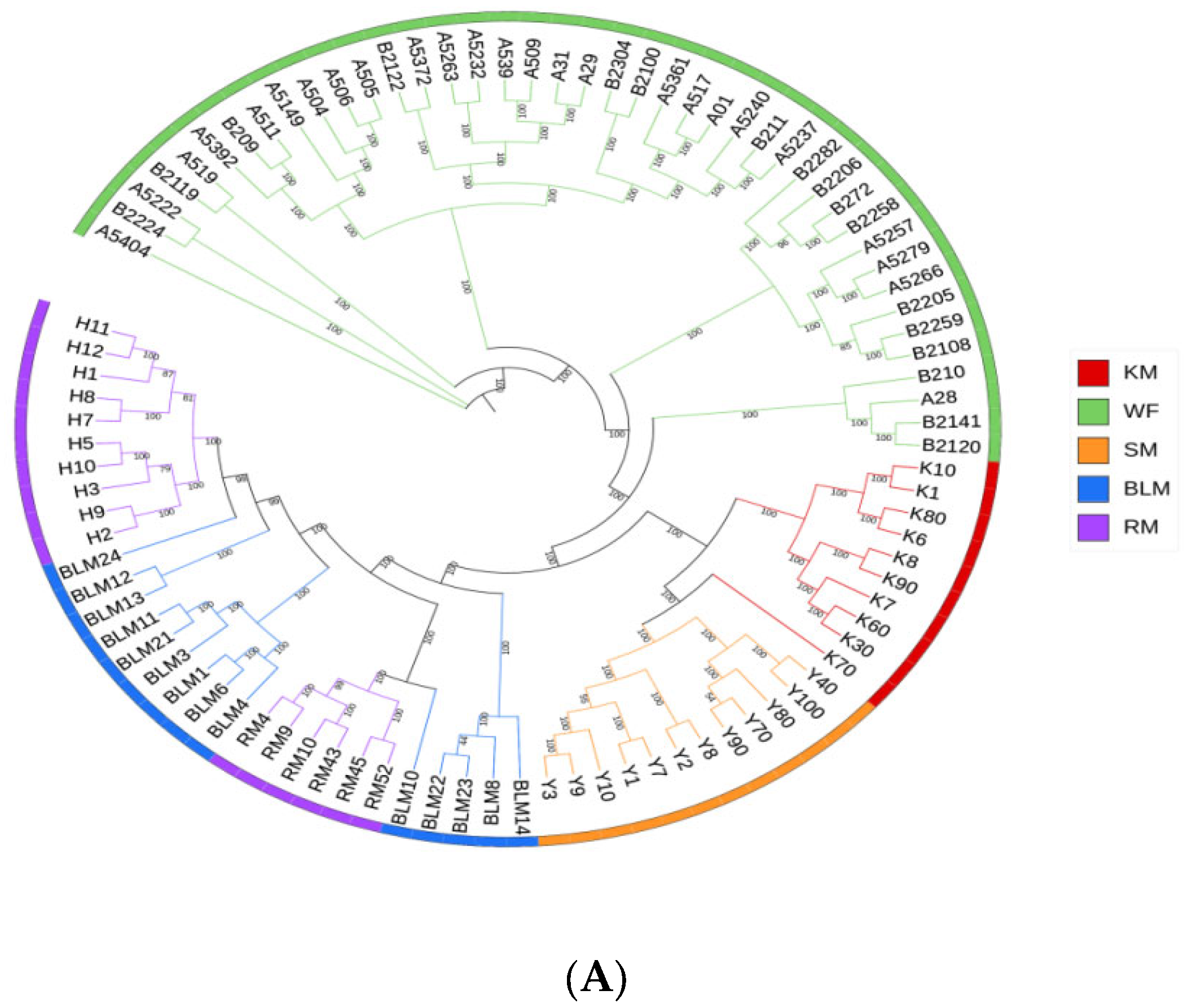 Animals 13 01497 g002a
