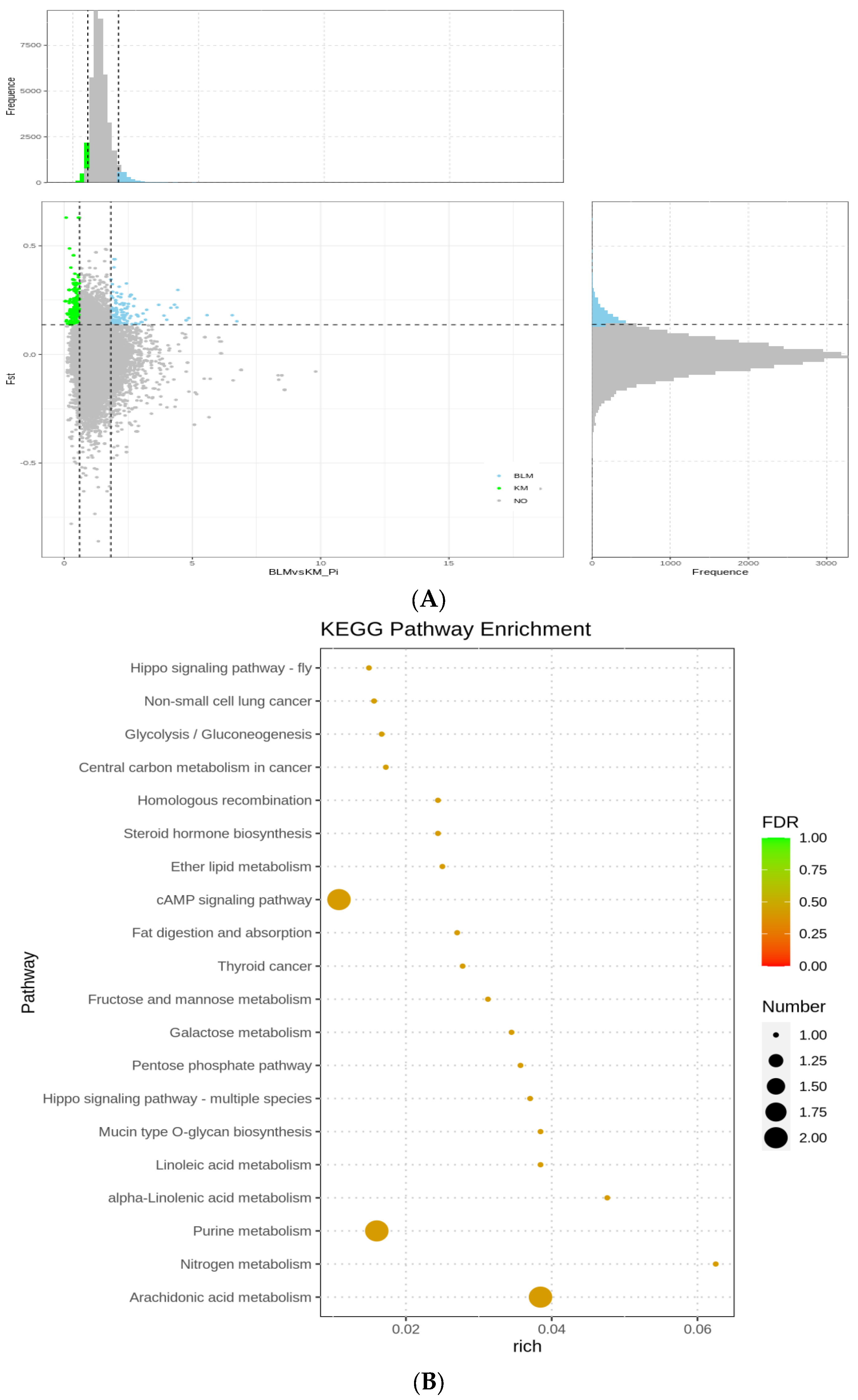 Animals 13 01497 g003a