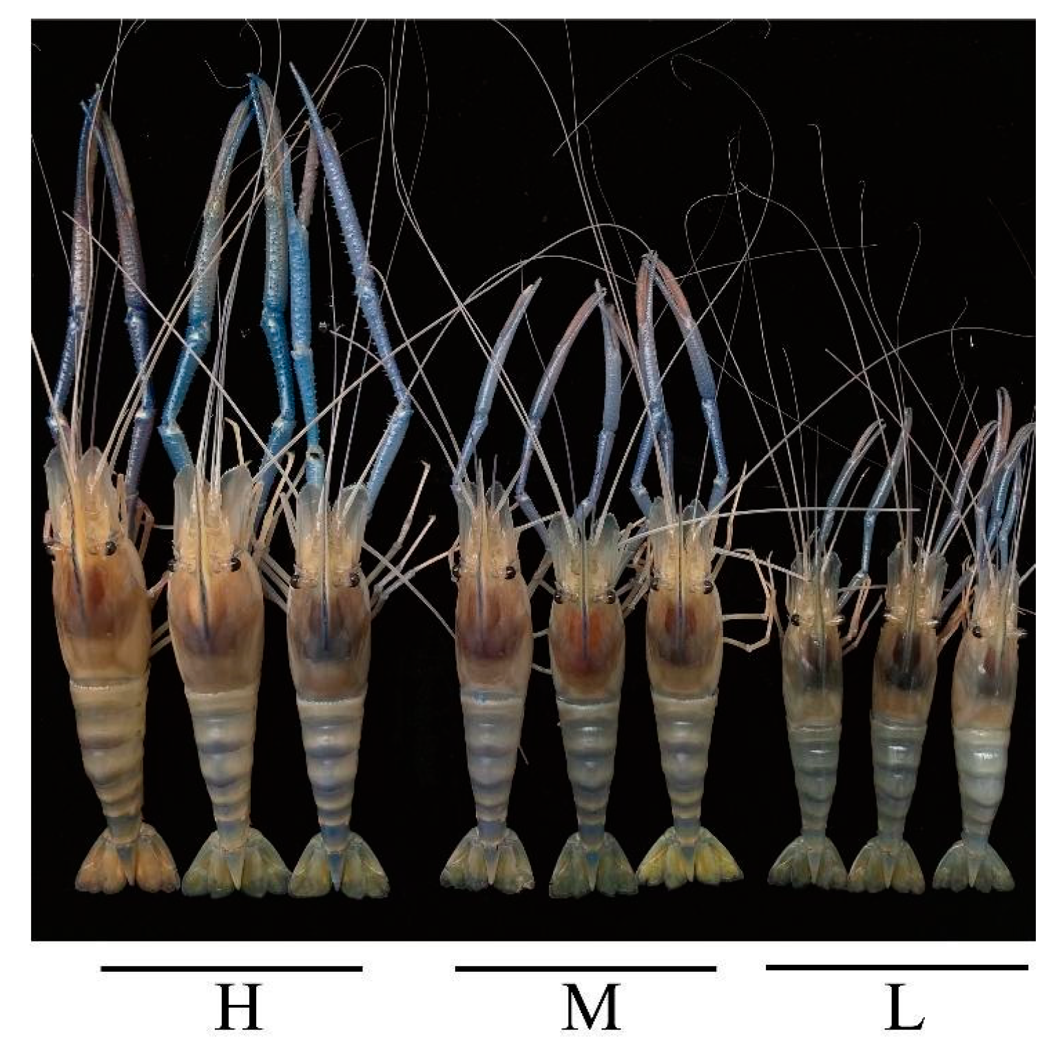 Animals 13 01539 g001