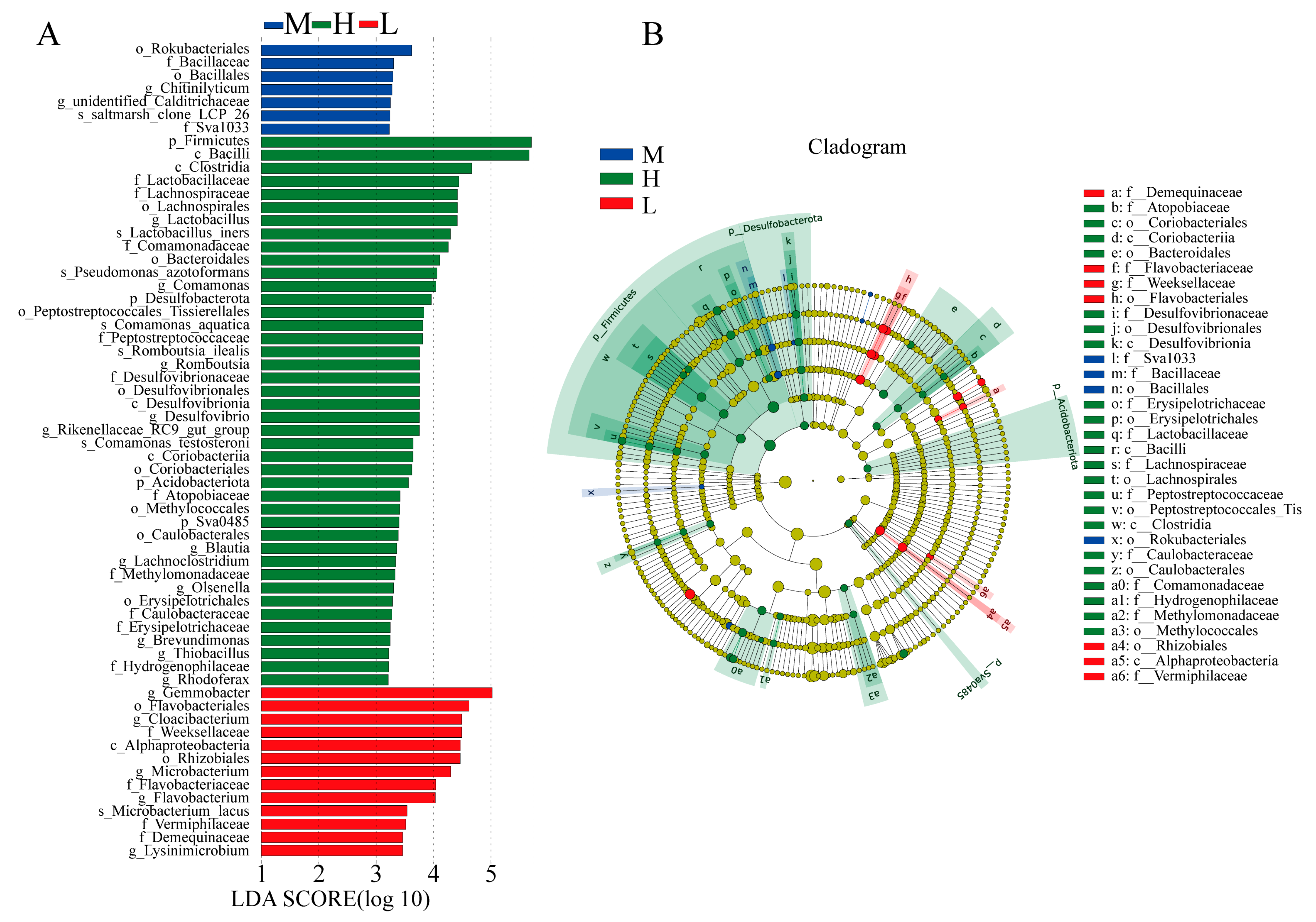 Animals 13 01539 g004