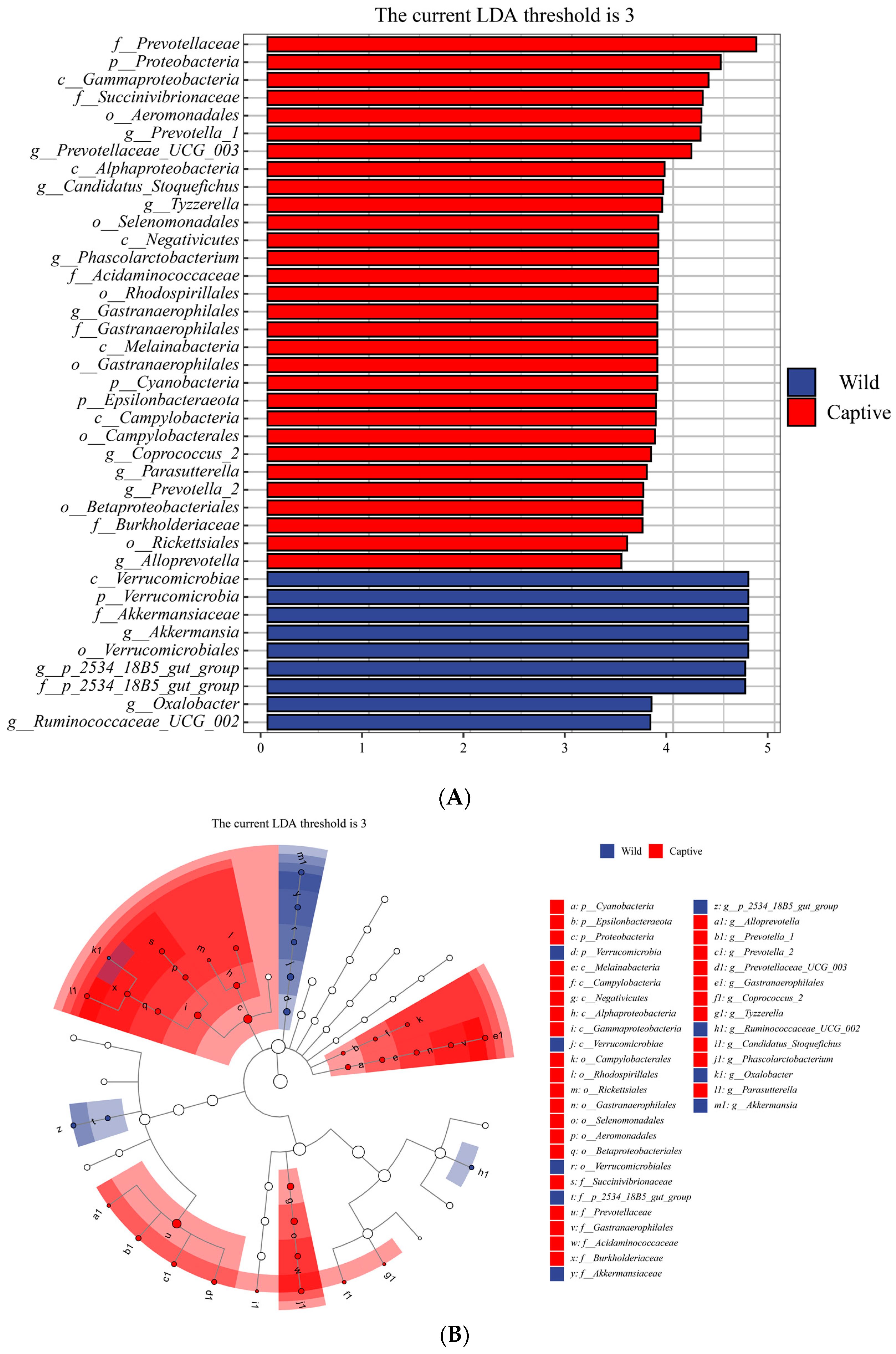 Animals 13 01625 g005