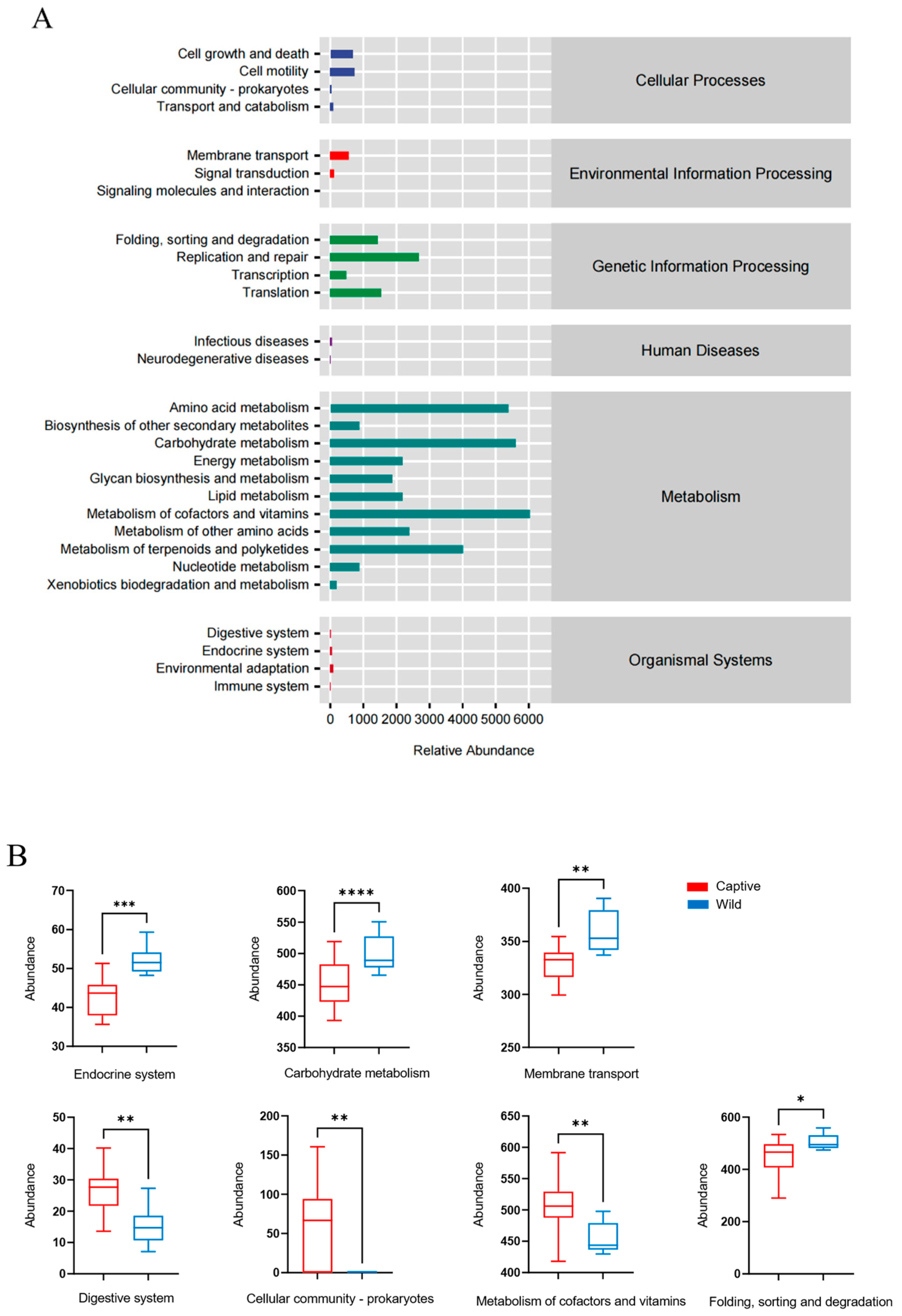 Animals 13 01625 g006