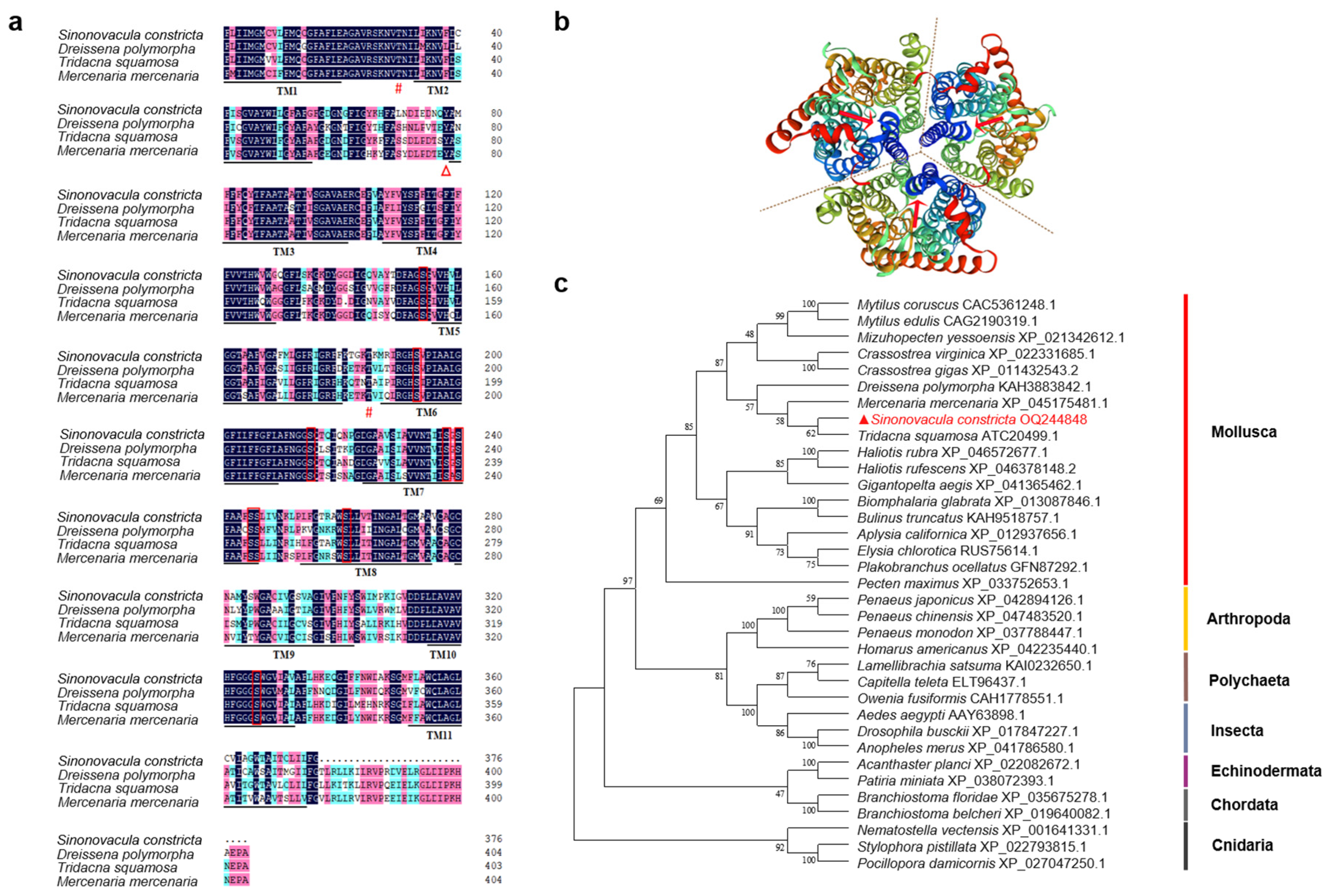Animals 13 01638 g001 Animals 13 01638 g001