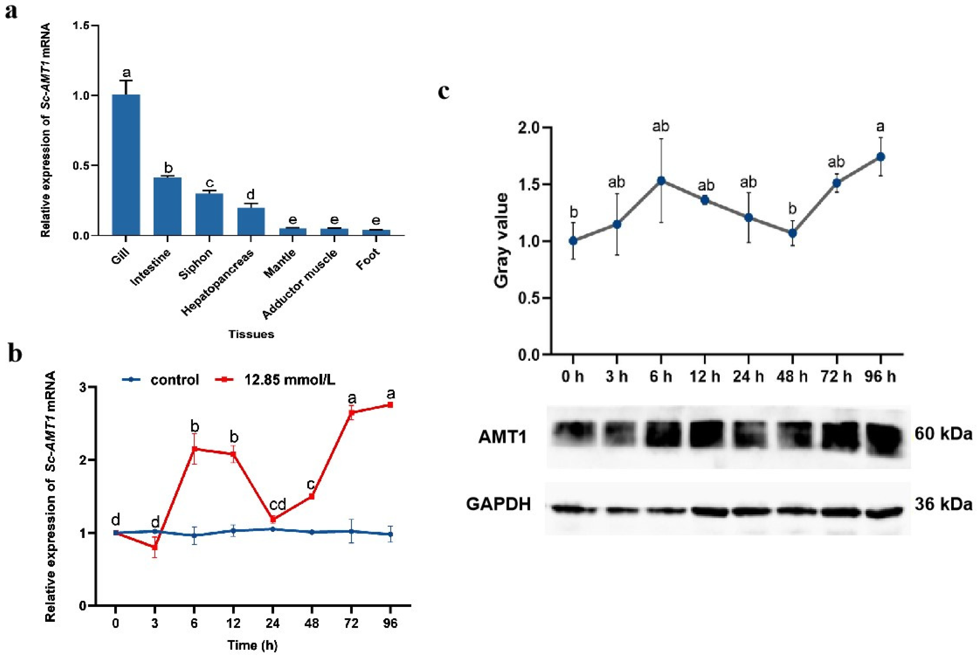 Animals 13 01638 g002 Animals 13 01638 g002