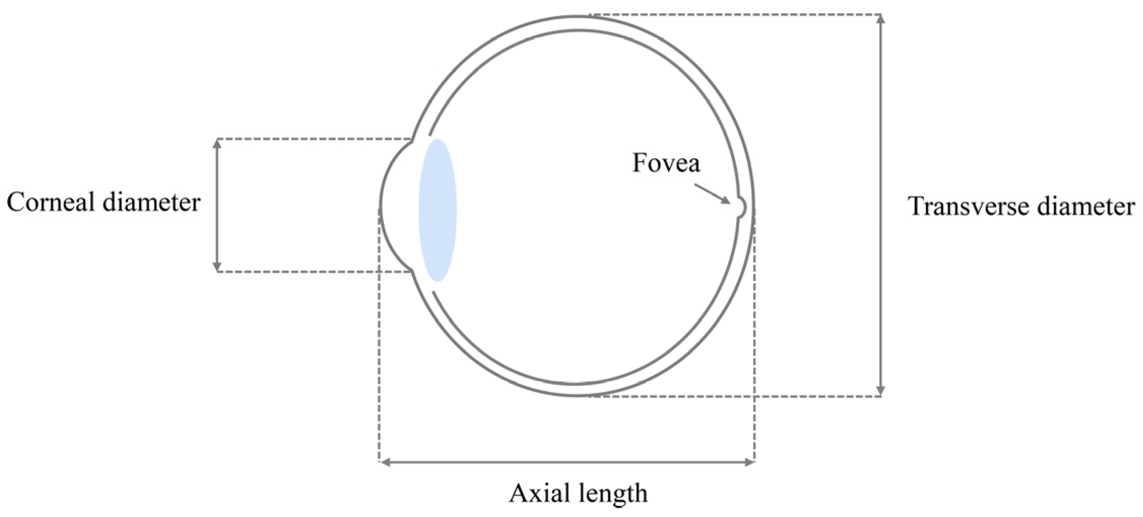 Animals 13 01675 g001 Animals 13 01675 g001