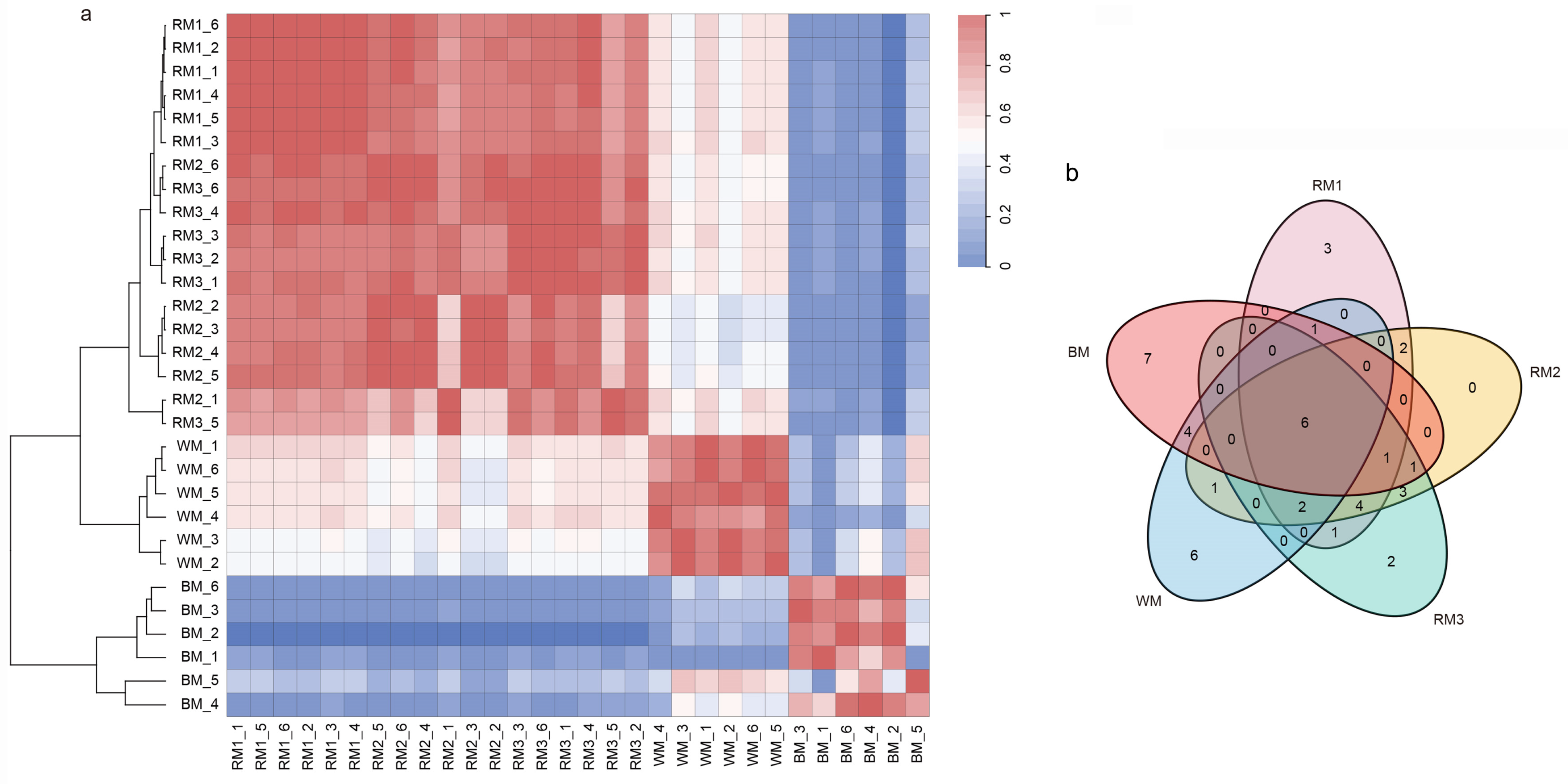 Animals 13 01678 g002