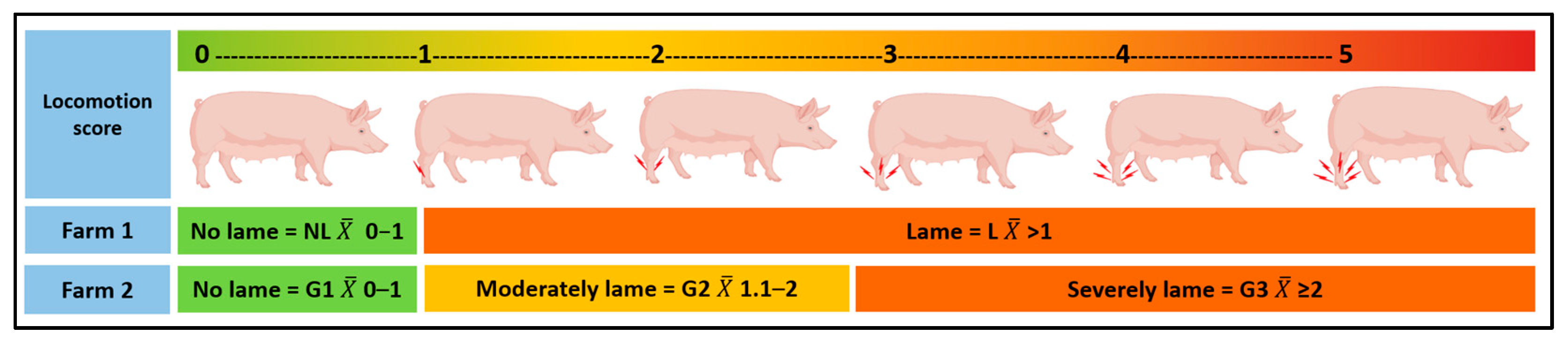 Animals 13 01722 g001 Animals 13 01722 g001