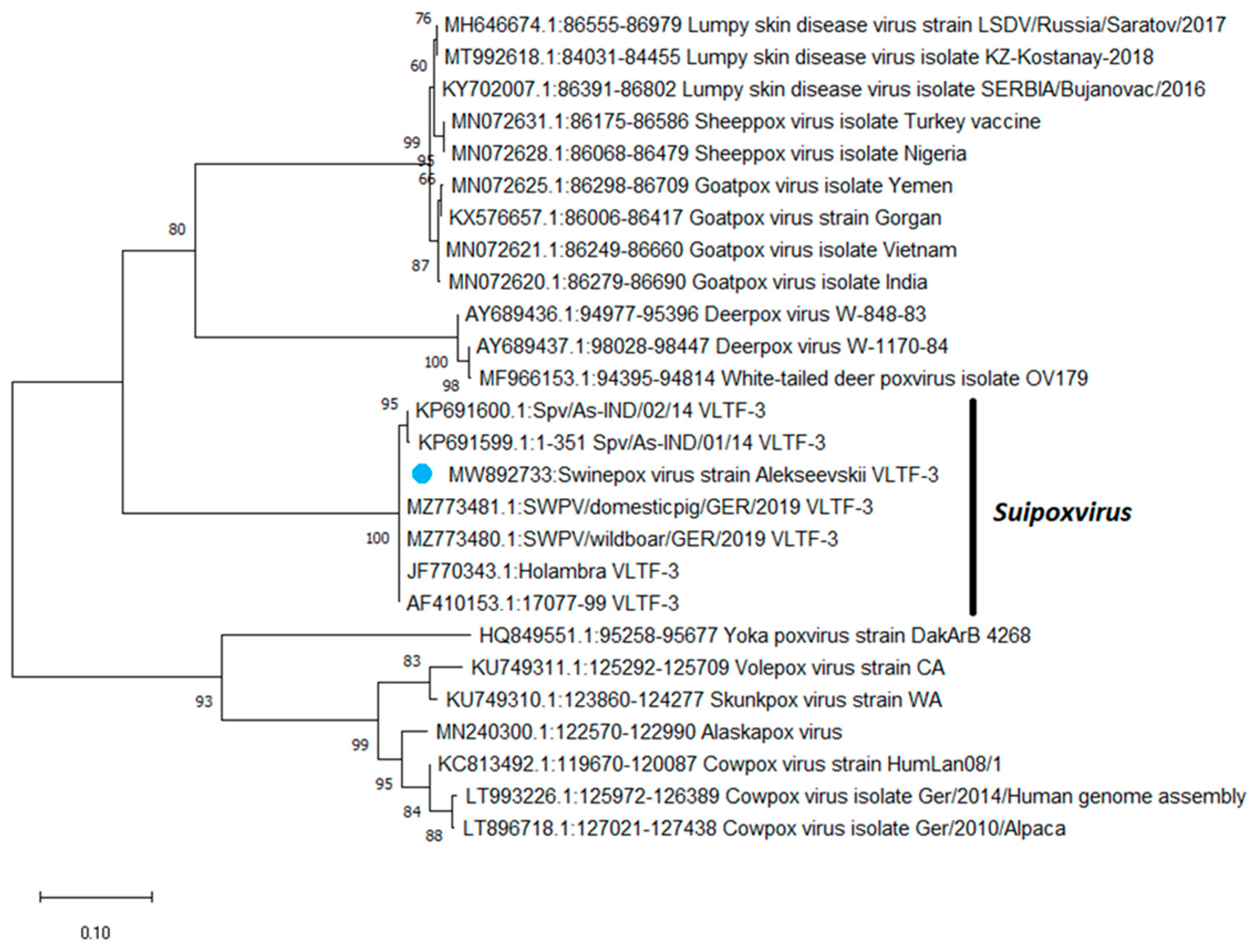 Animals 13 01786 g001 Animals 13 01786 g001
