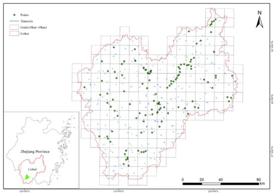 A brief overview of specific species placement in the avian hierarchy –  Eagle's Eye